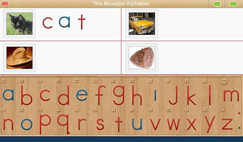 Montessori Movable Alphabet - Build Words and Phrases - A Montessori Approach to Language