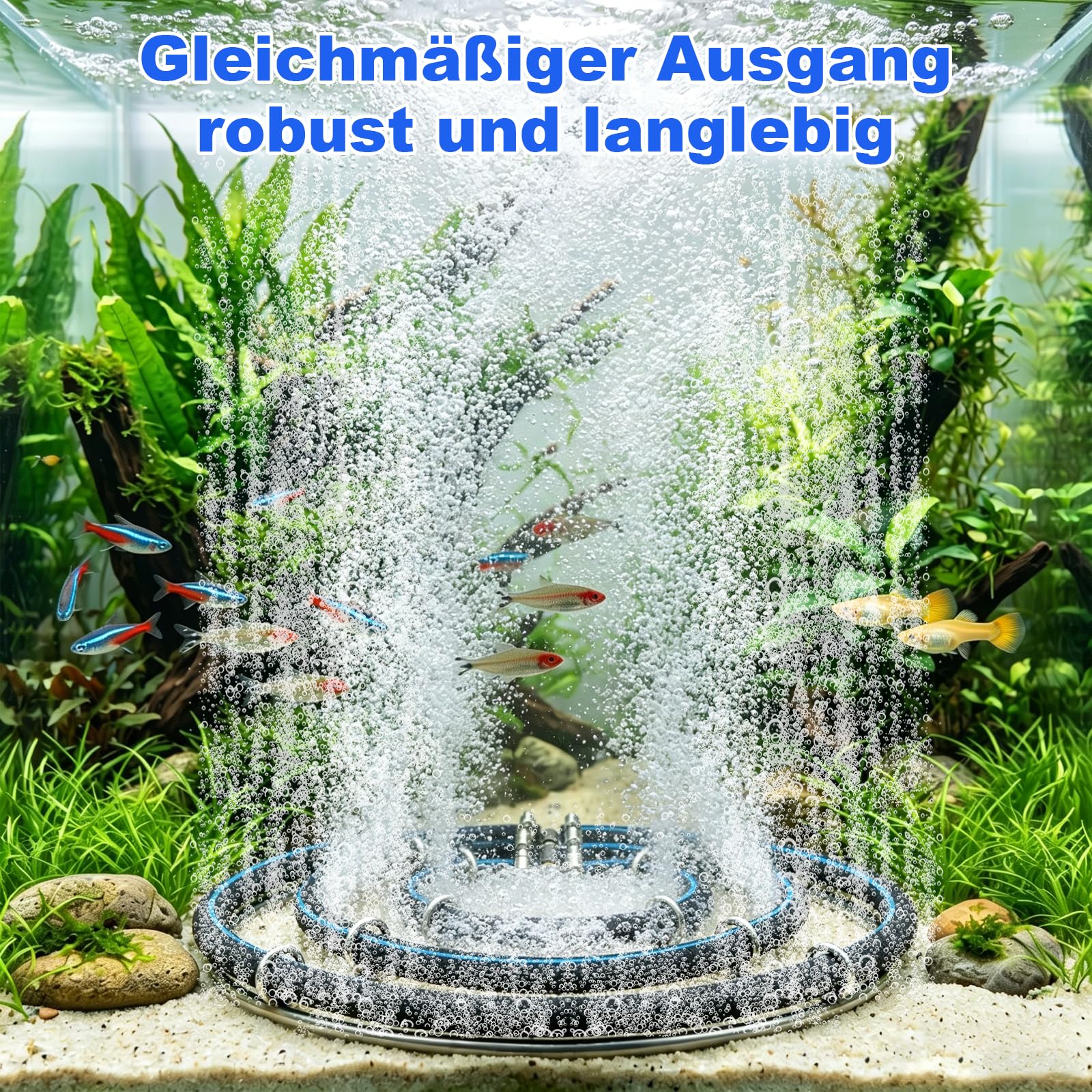 Teichbelüfterring, Sauerstoff Diffusor mit 2-Fach Ring, Rohrdurchmesser 8 mm Nano-Luftblasen Belüfter für Koi Teiche, Aquarien und Fischbecken, with Schlauch 5 mSilikonschlauch (35CM)