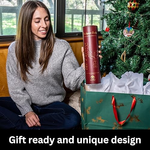 Miniatura 4 de Botella infusora de té de vidrio de doble pared de 13.6 oz, conjunto de termo a prueba de fugas