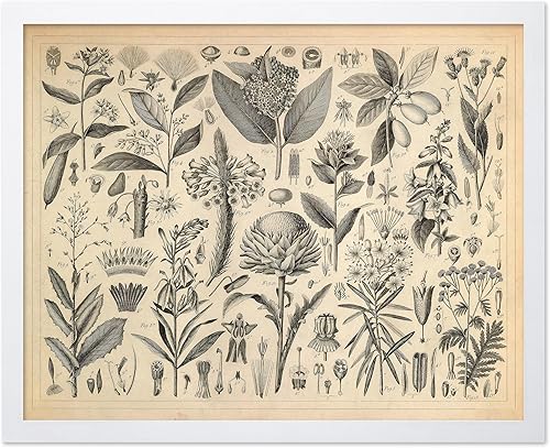 Miniatura 8 de Poster Master Póster de flores vintage, estampado botánico retro, arte floral antiguo, arte de plantas, regalo para hombres y mujeres, gran