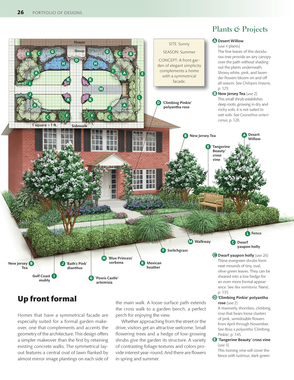 Texas Home Landscaping, including Oklahoma, 4th Edition: 48 Landscape Designs with 200+ Plants & Flowers for Your Region (Creative Homeowner) Easy Step-by-Step Instructions using Native Plants      Paperback – December 17, 2024