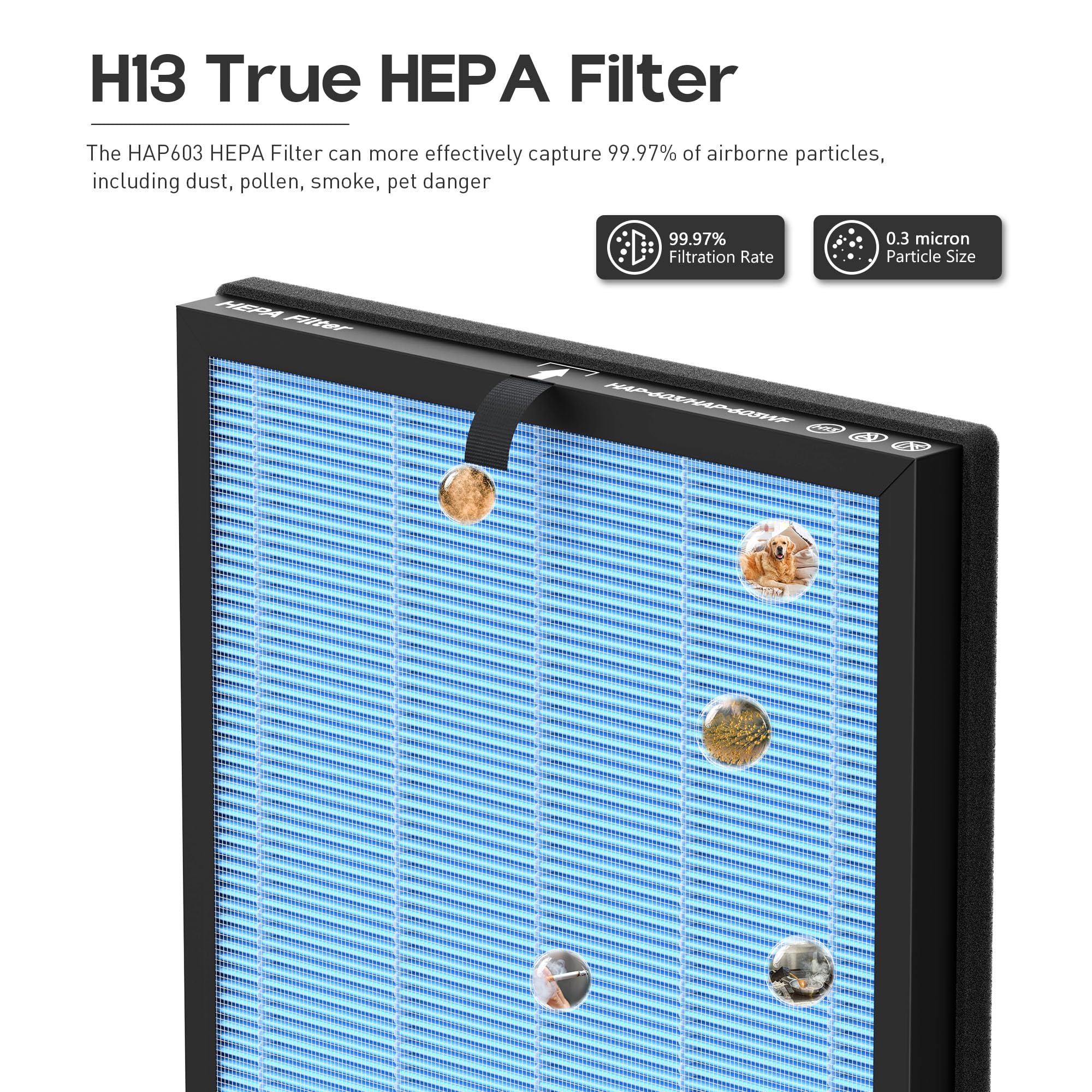 Filtro de repuesto HAP603 para purificador de aire ECOSELF HAP603/HAP603WF