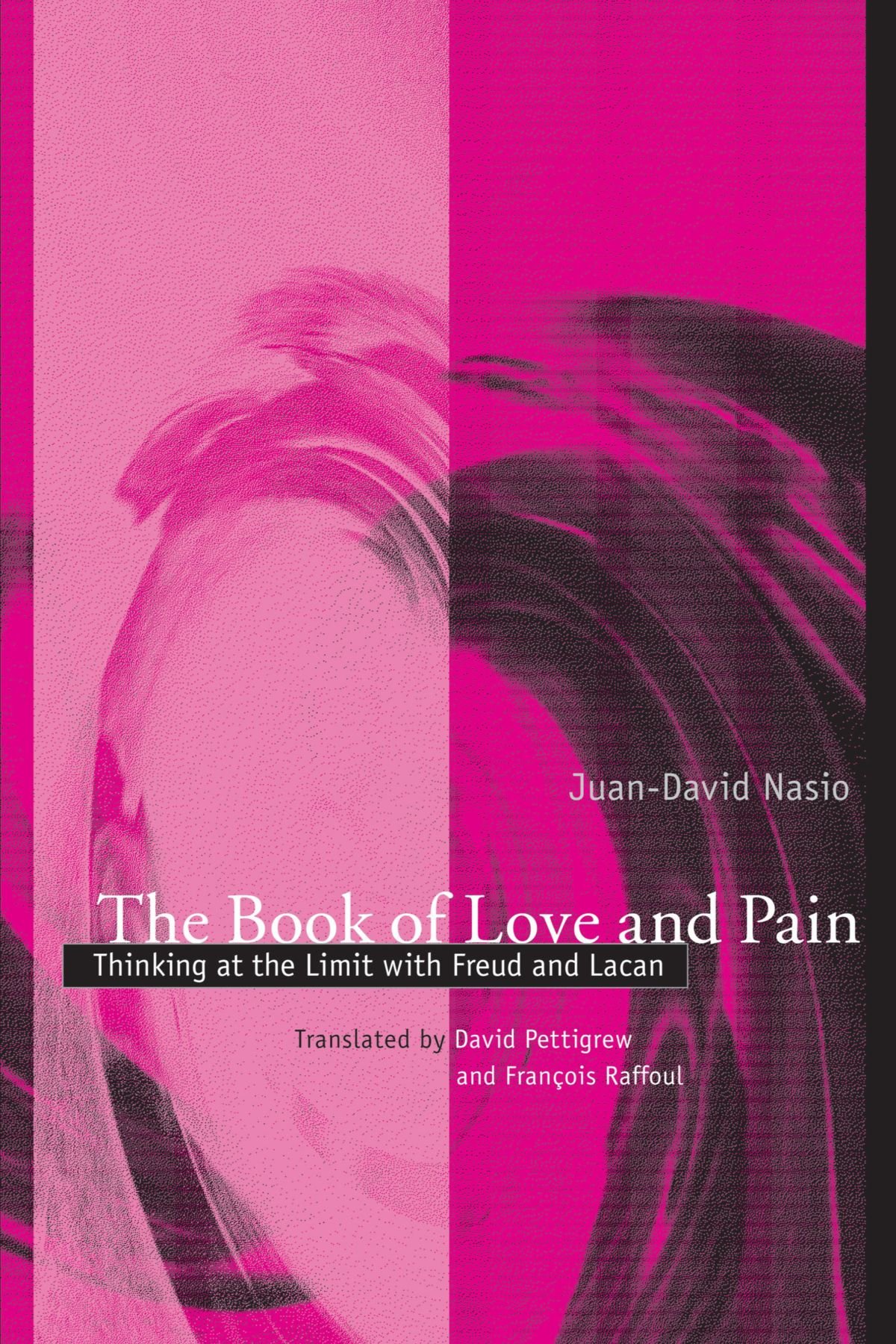 The Book of Love and Pain: Thinking at the Limit With Freud and Lacan (Psychoanalysis and Culture) (SUNY series in Psychoanalysis and Culture)