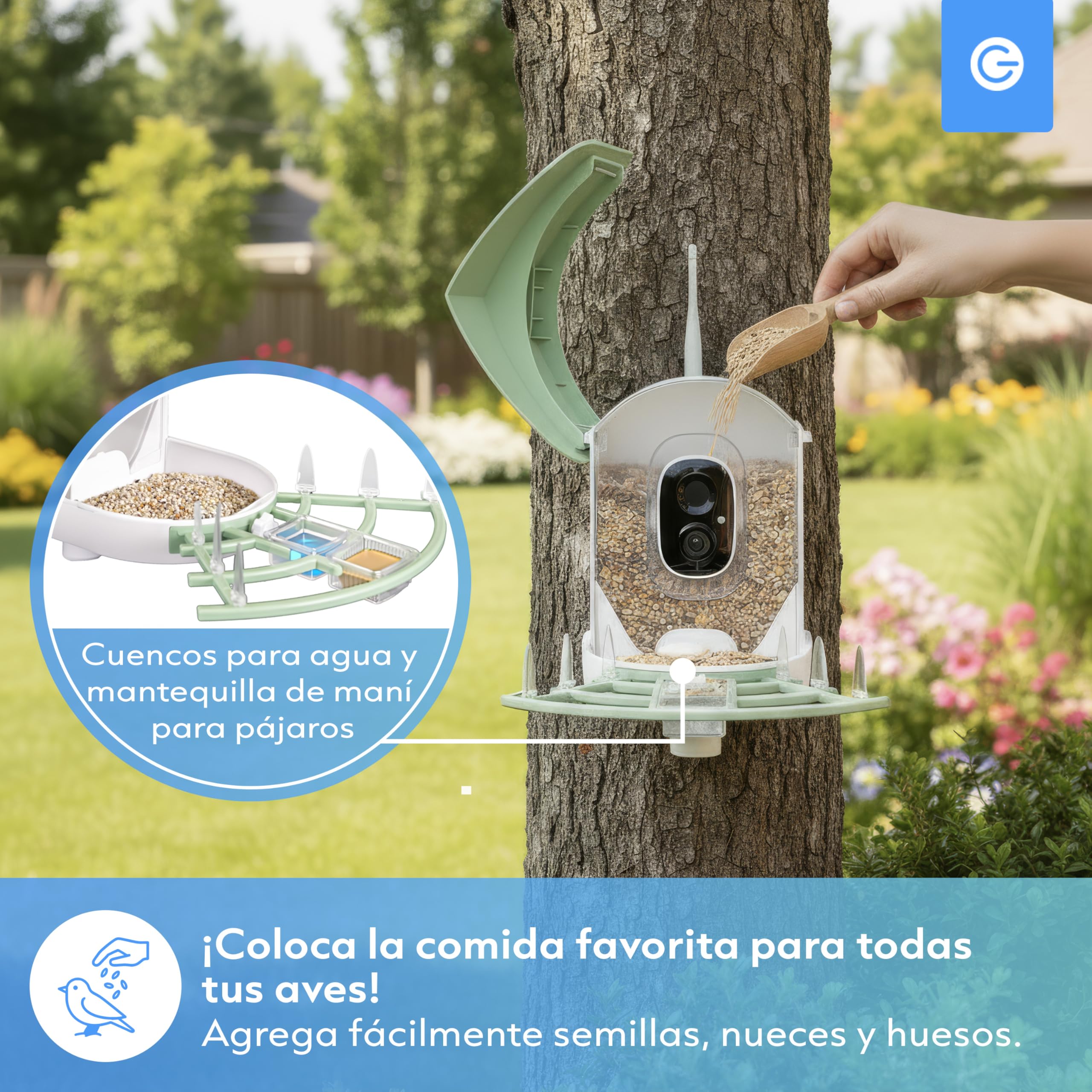 Silvergear® Alimentador de pájaros inteligente | Comedero Automático Para Pájaros Con Cámara | Para Pájaros Con Panel Solar | Vídeos En Directo Y Notificaciones En Tiempo Real