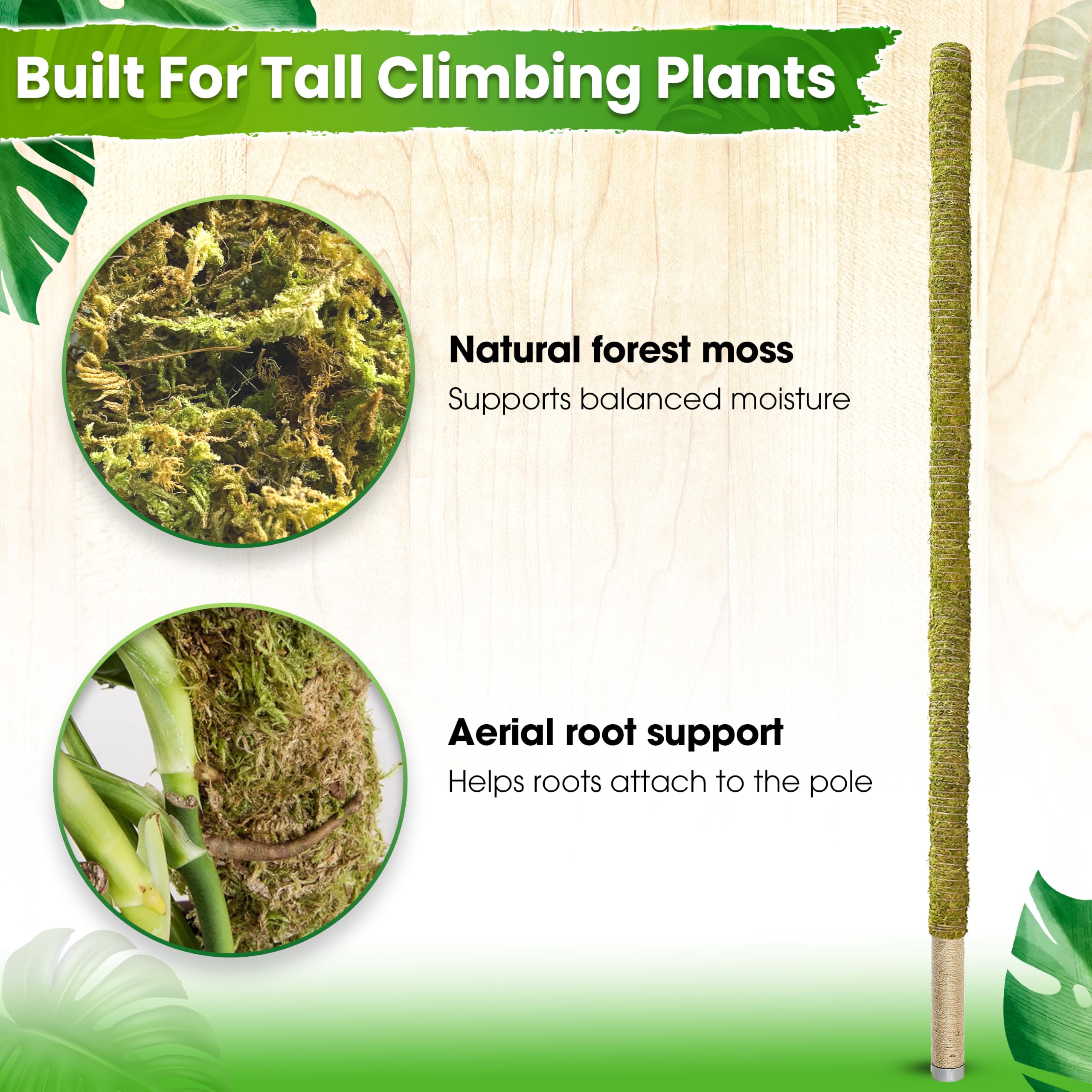 DUSPRO Große Moosstange für Pflanzen, Monstera, Pflanzstäbe für Zimmerpflanzen, Monstera-Pflanzenstütze, Pflanzenstütze/Pflanzenstange für große Kletterpflanzen im Innenbereich (1 Stück, 203 cm)