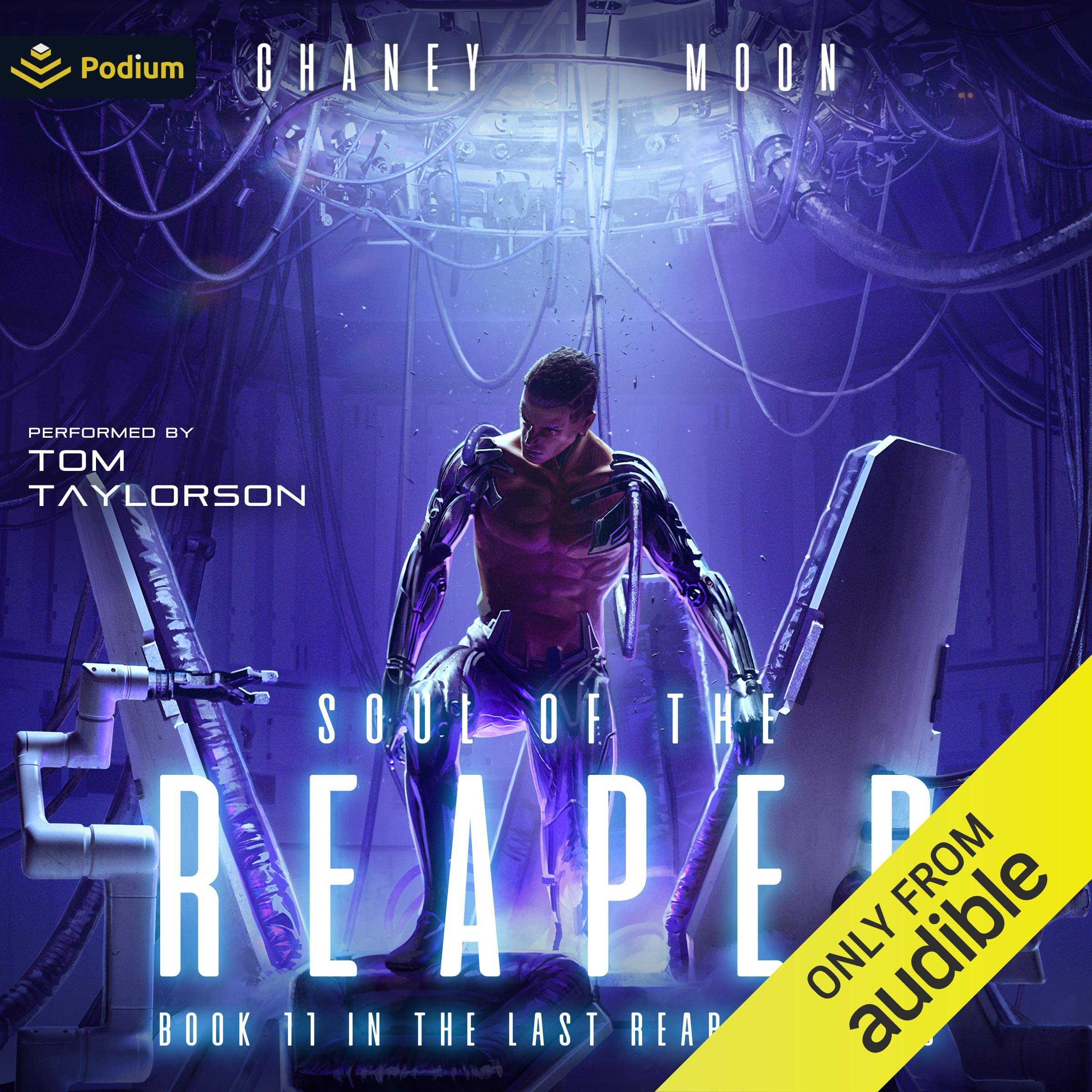 Cover art for Soul of the Reaper