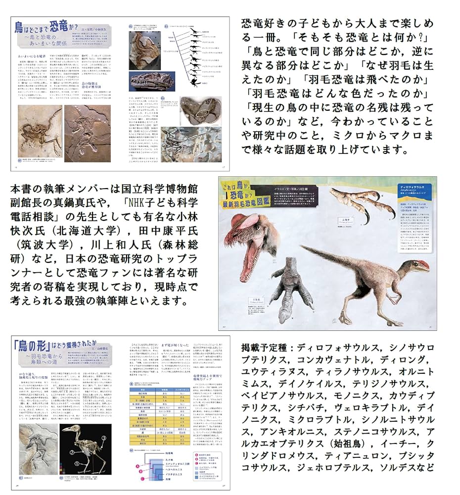 羽毛恐竜完全ガイド (BIRDER SPECIAL) | BIRDER編集部 |本