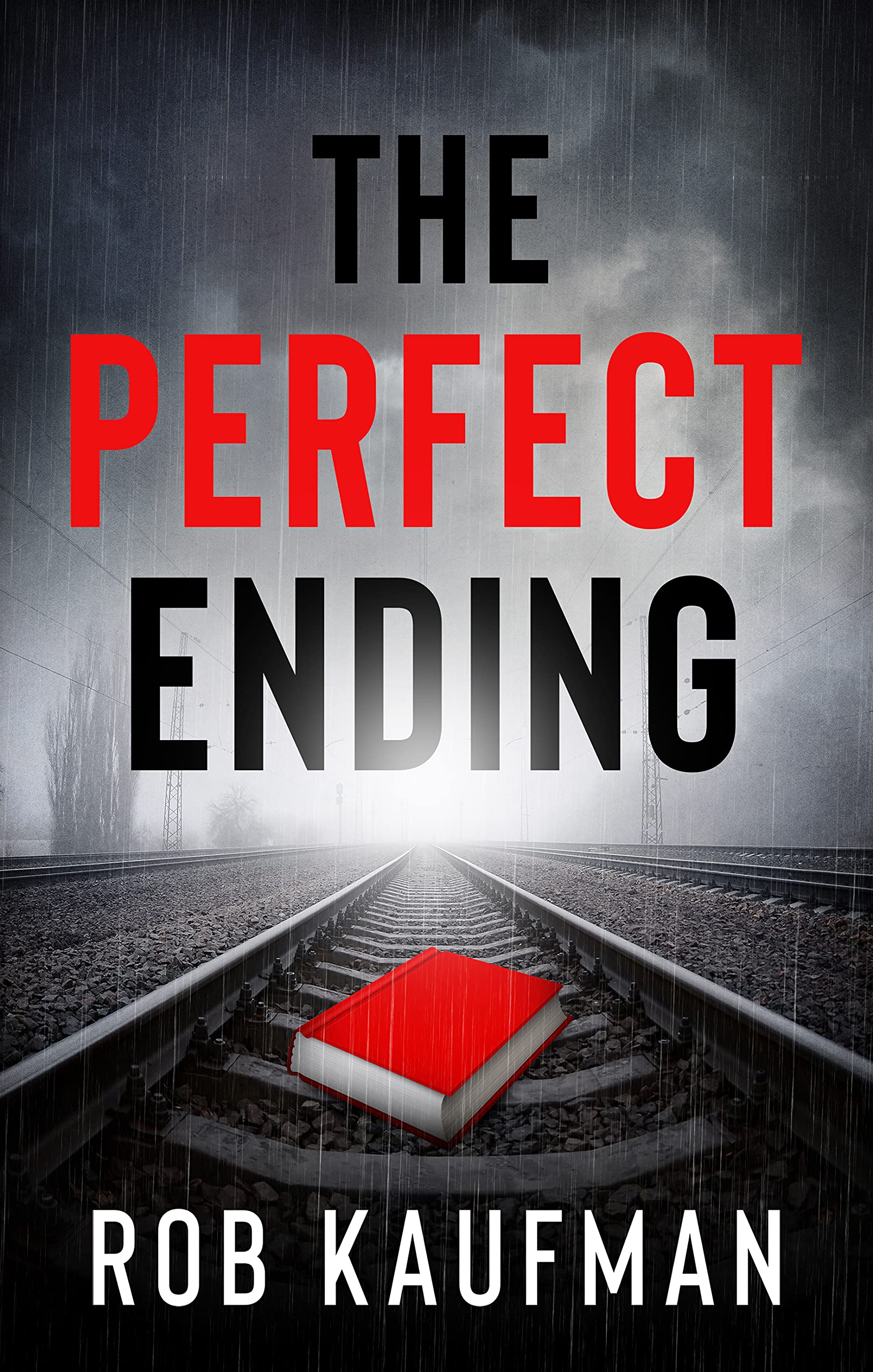 The Perfect Ending: "An emotional psychological thriller with a twist you won't see coming!"
