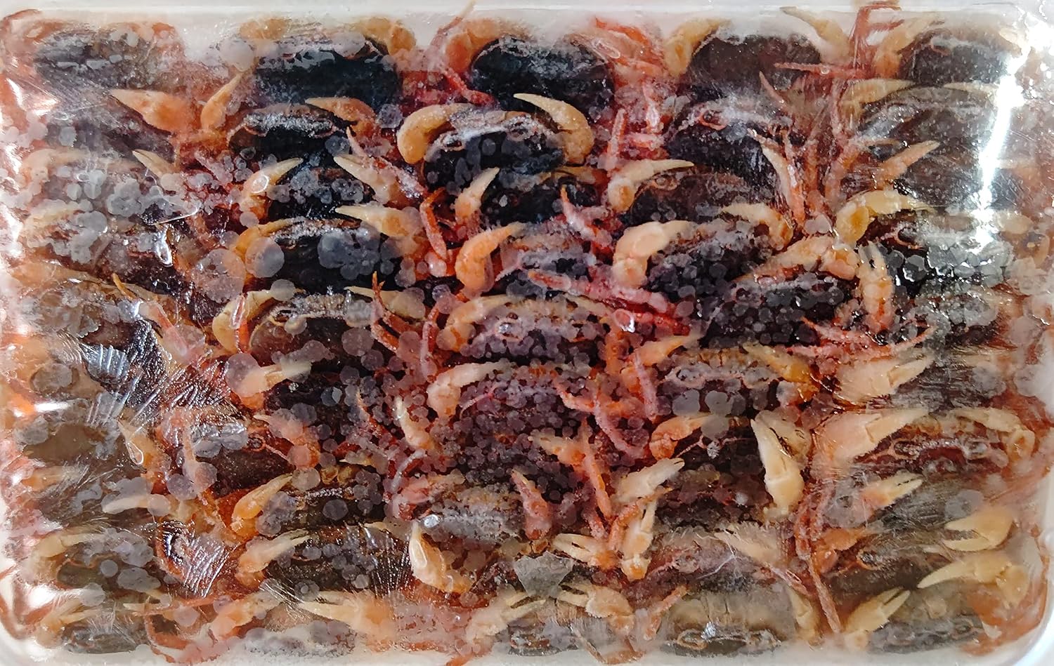 限定品 冷凍 沢蟹 (生) 50匹 加熱用 沢カニ 沢ガニ