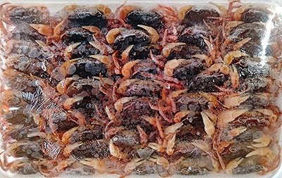 サワガニを素揚げにして食べる 酒の肴に最適 たかぴょんの だがしかしたかし