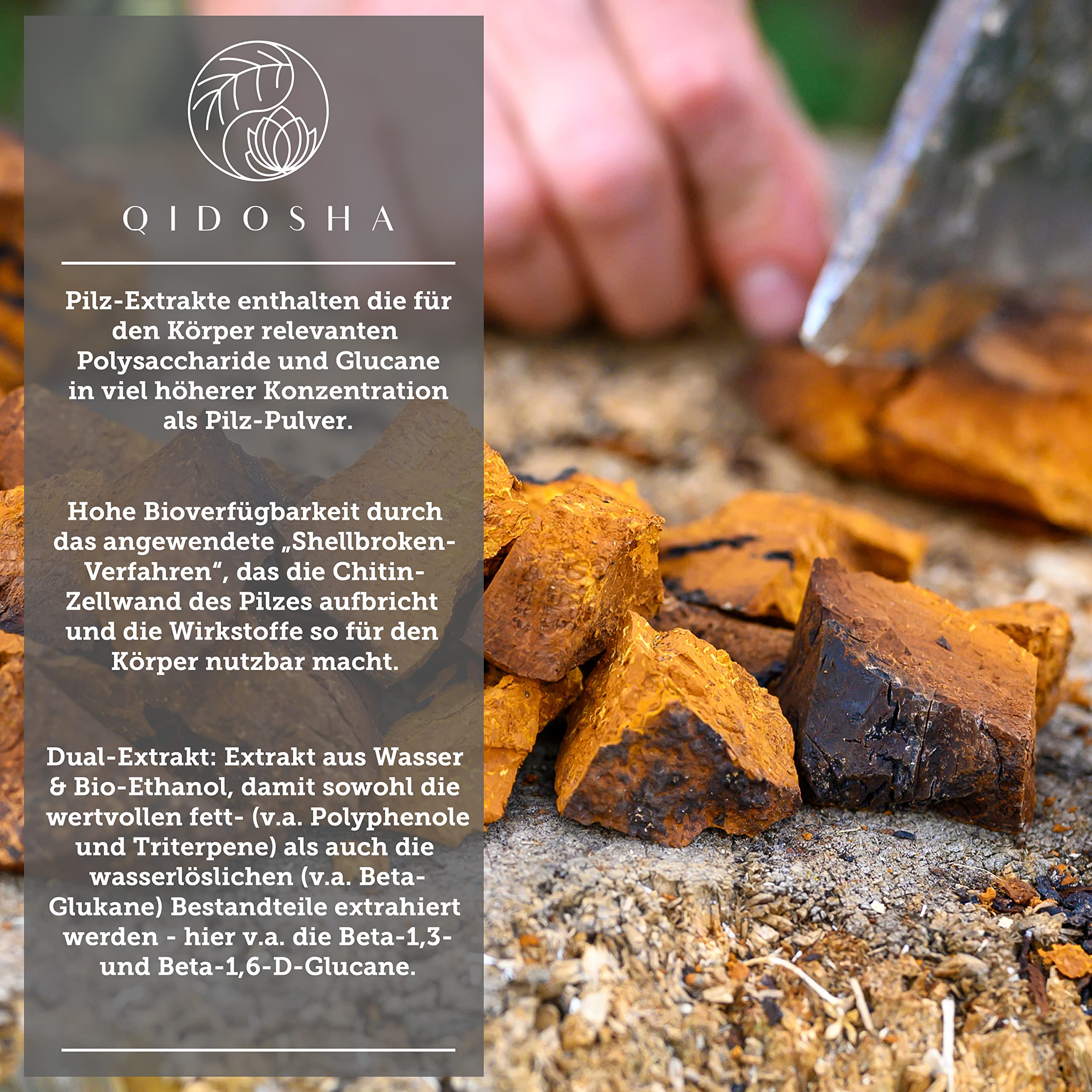 QIDOSHA® Chaga Extrakt Kapseln hochdosiert, 120 Stk im Glas (kein Plastik), 1000 mg Schiefer Schillerporling Extrakt pro Tagesdosis, Chaga Pilz Kapseln hochdosiert, aus Wildsammlung von Birken