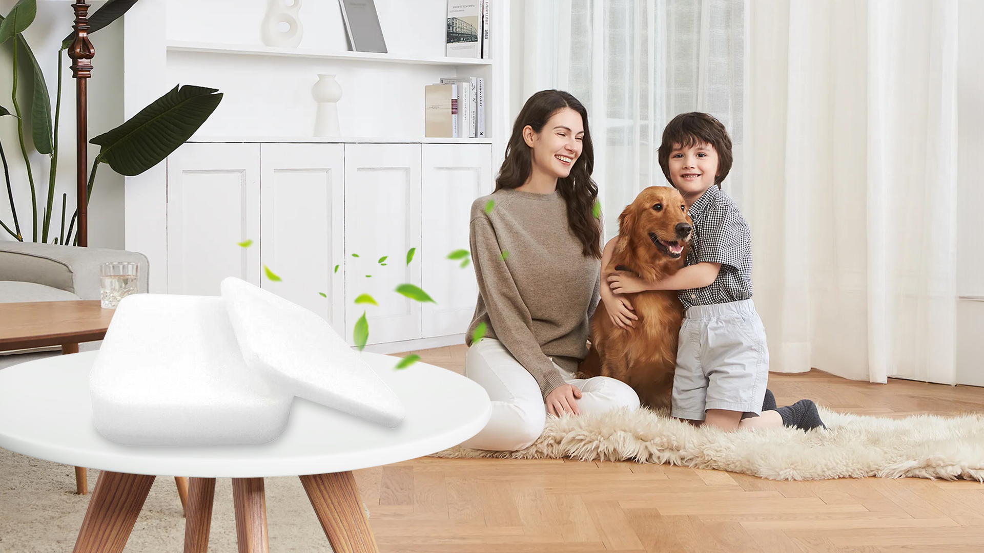 Kit 6 Filtri In Schiuma HEPA Per Aspirapolvere Shark Navigator – Compatibile Con ZU60, ZU62, NV251, NV255, ZU62C