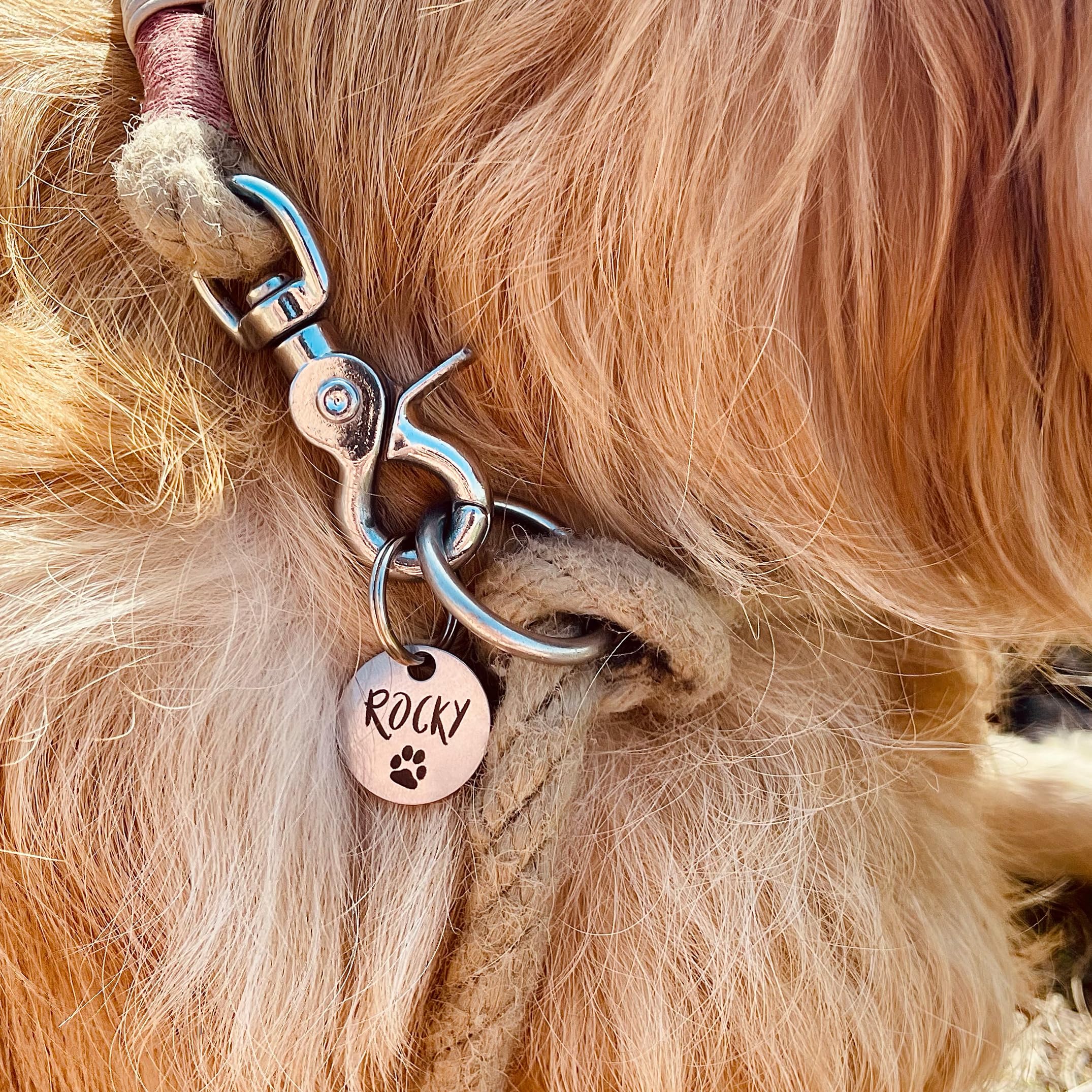Médaille d’identification personnalisée pour chien en acier inoxydable avec gravure du nom, numéro de téléphone, adresse et date – médaille robuste pour chien – pour Noël et anniversaire