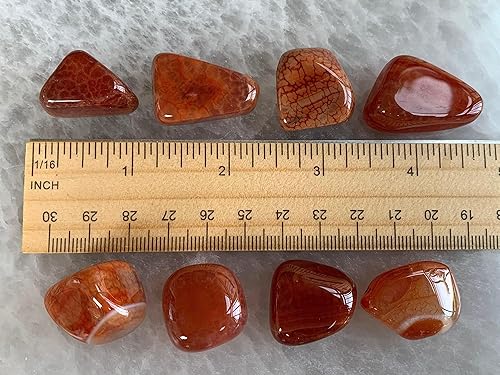 Miniatura 400 de GAF TREASURES Piedras pulidas de ojo de tigre de 1/2 libra, piedra preciosa natural pulida, cristales curativos de ojo de tigre (ojo de tigre)