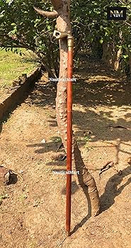 Amazon.co.jp: NauticalMart 真鍮製ウォーキング杖 - ユニークな