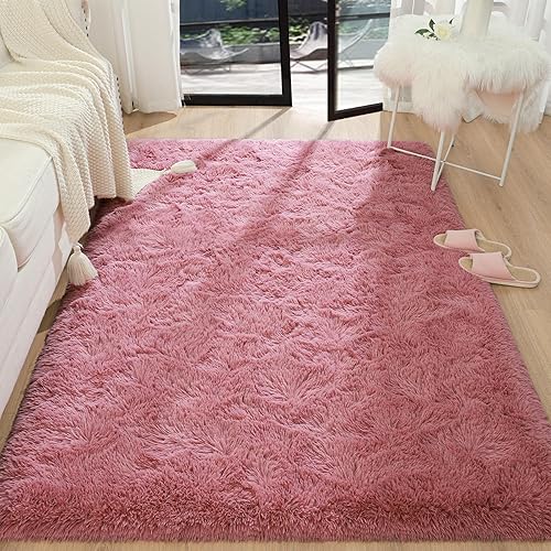 BENRON Alfombra de sala de estar, alfombra de área de 5 x 8 pies, alfombra mullida para dormitorio, alfombra de color rubor para dormitorio,