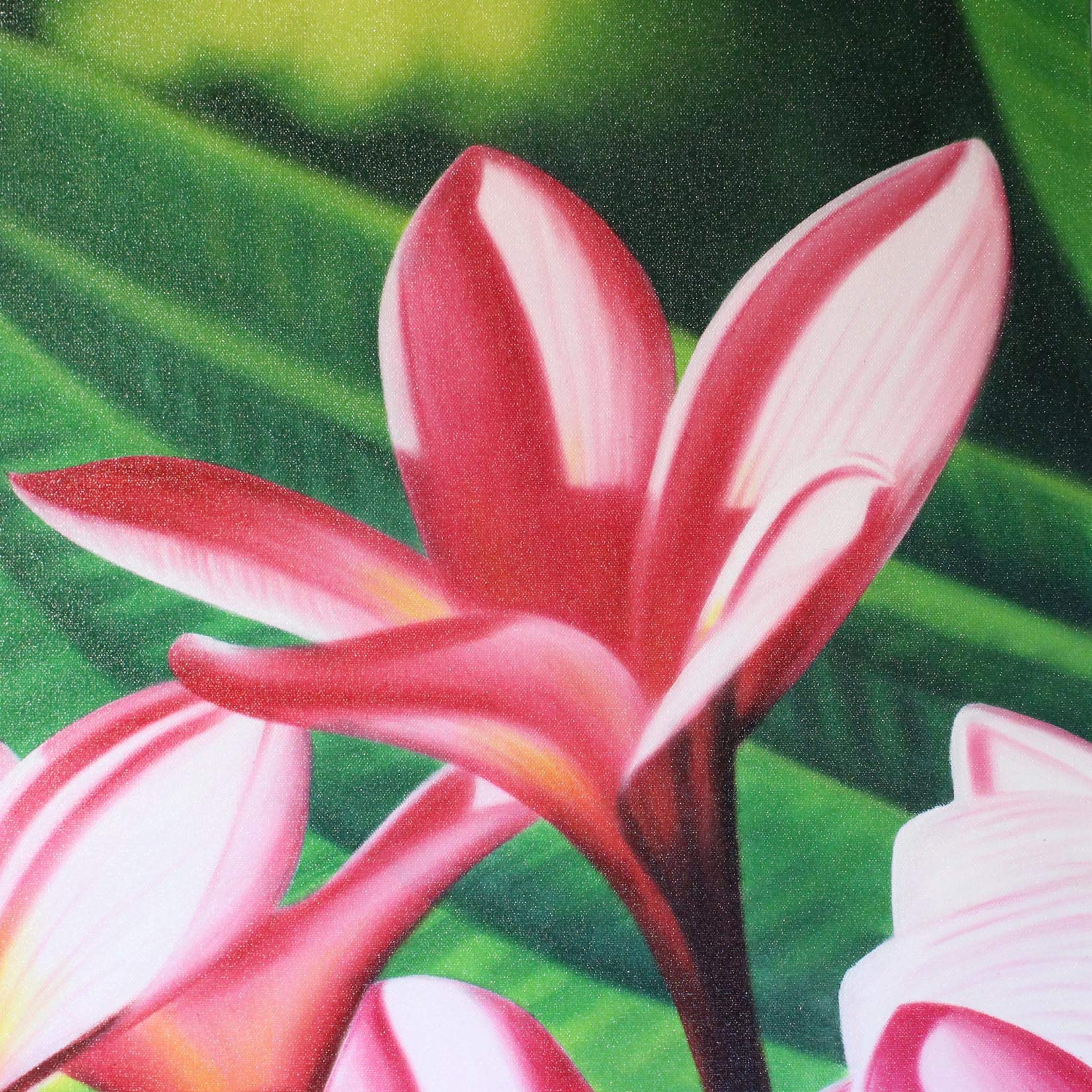 Amazon.co.jp: 絵画 90×120cm 花 葉っぱ 南国テイスト リゾート風