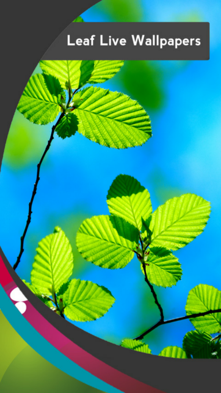 Leaf Live Wallpapers App on Amazon Appstore