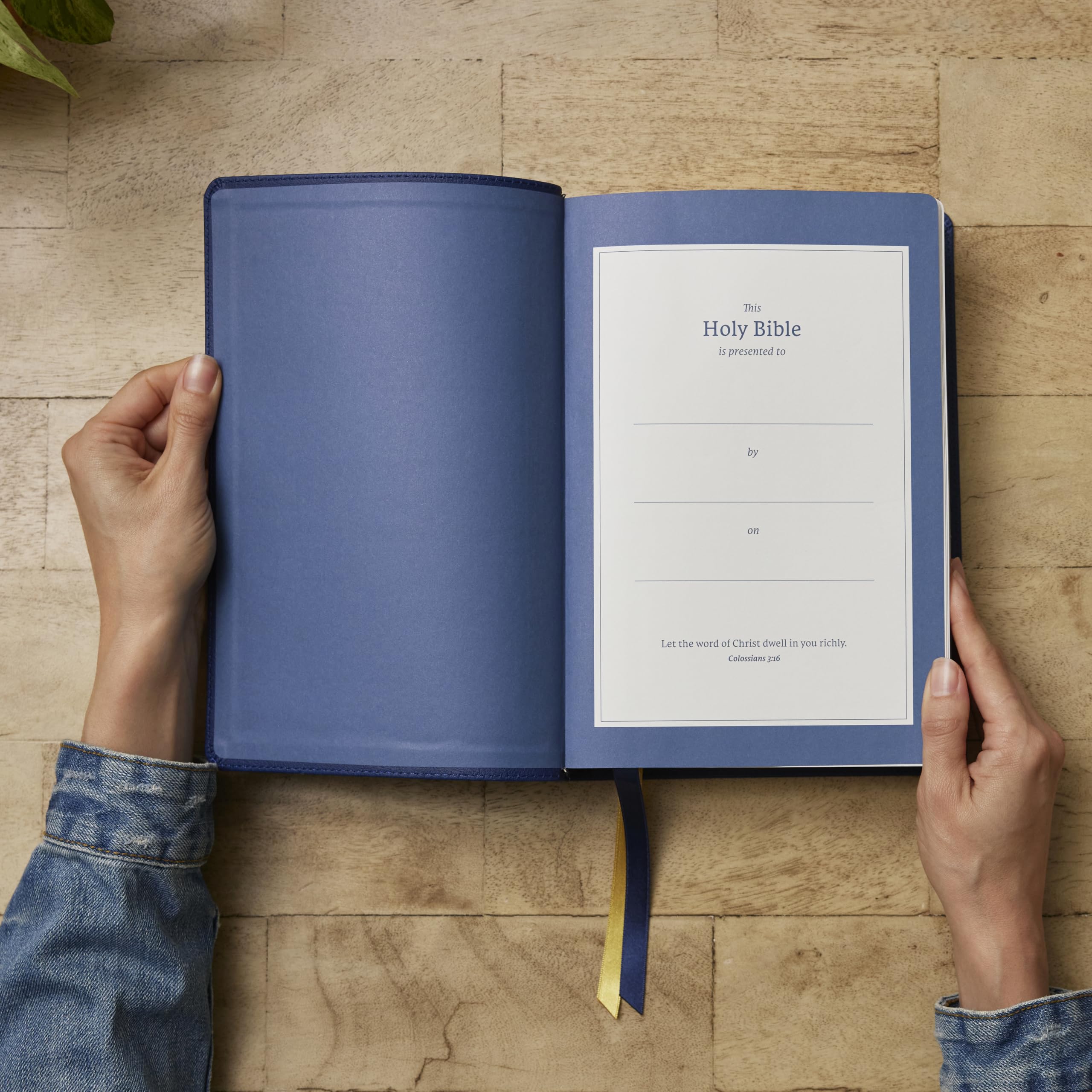 Net Bible, Full Notes Edition (Net, Blue Leathersoft, Comfort Print): Holy Bible