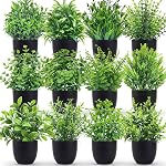 Der Rose Fake Plants 4 Packs Small Artificial Plants Black Faux Plants for Bathroom Home Office Shelf Kitchen Coffee Table Accessories Decor Indoor