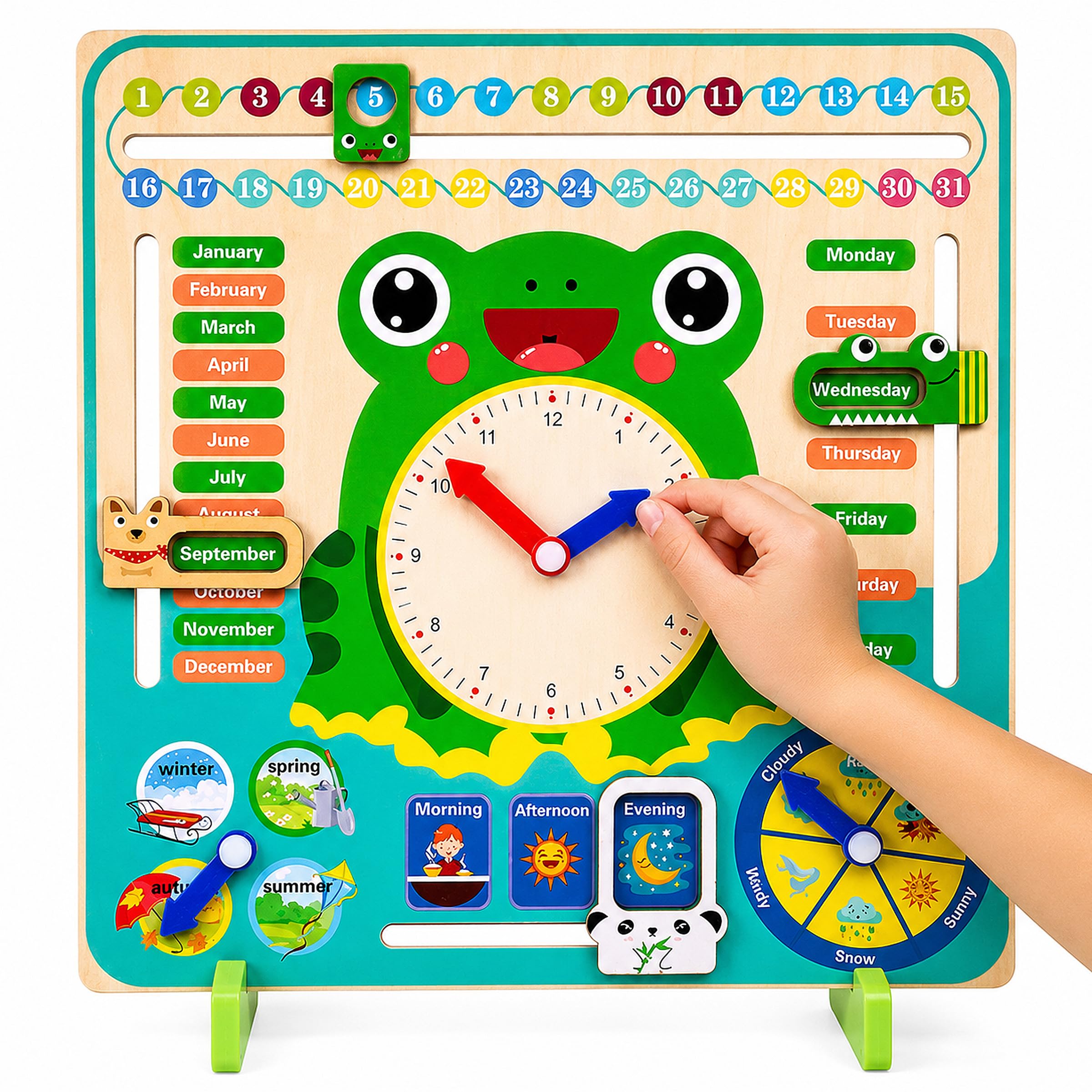 Toyshine Time and Seasons Game Educational Wooden Clock Toy Calendar Board for 3 Year Olds and Up, Frog Green-image-40