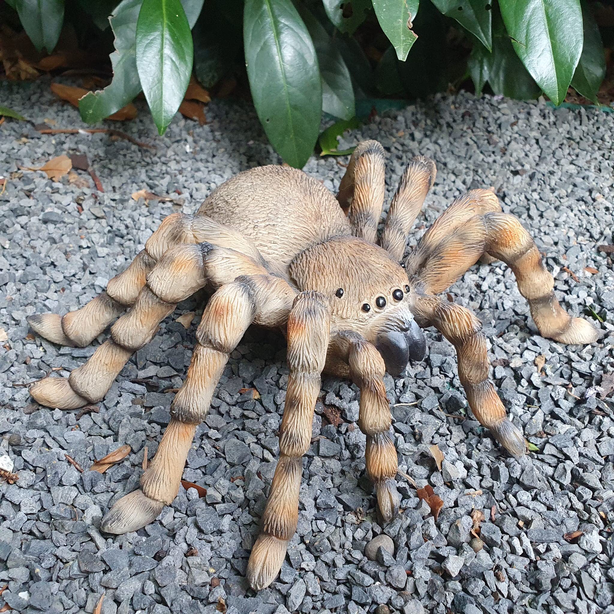 Statua Ragno Da Giardino Per Esterni - Decorazione Resistente Alle Intemperie, 26x19x7 Cm, Resina Sintetica Dipinta A Mano, Idea Regalo Per Amanti Del Giardinaggio - 3