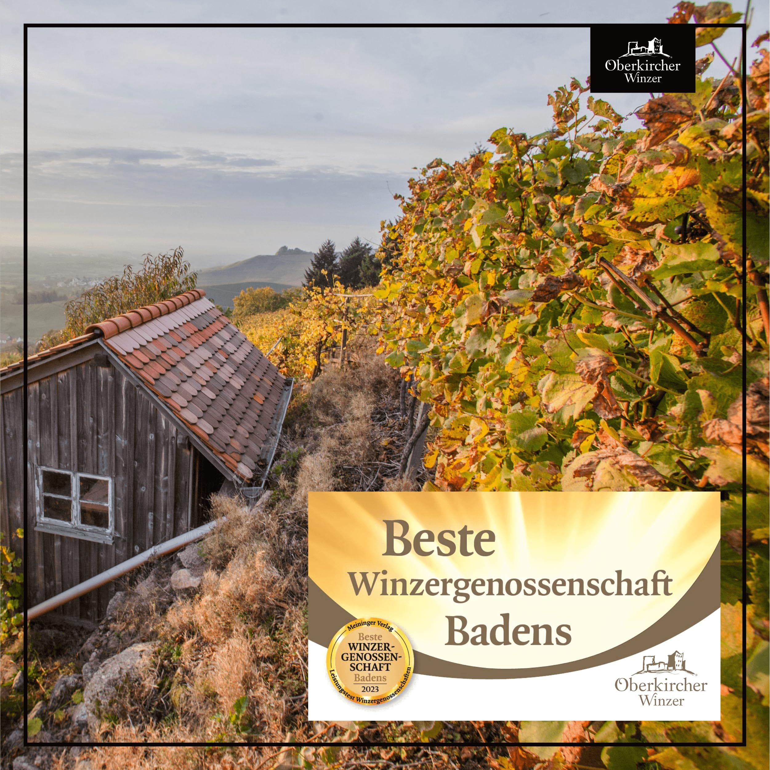 Oberkircher Winzer Wein-Paket COLLECTION "O" - Weißwein (Riesling), Rosé & Rotwein feinherb - mild im Geschmack, ideal als Wein-Geschenk, deutscher Wein aus Baden (6 x 0,75l)