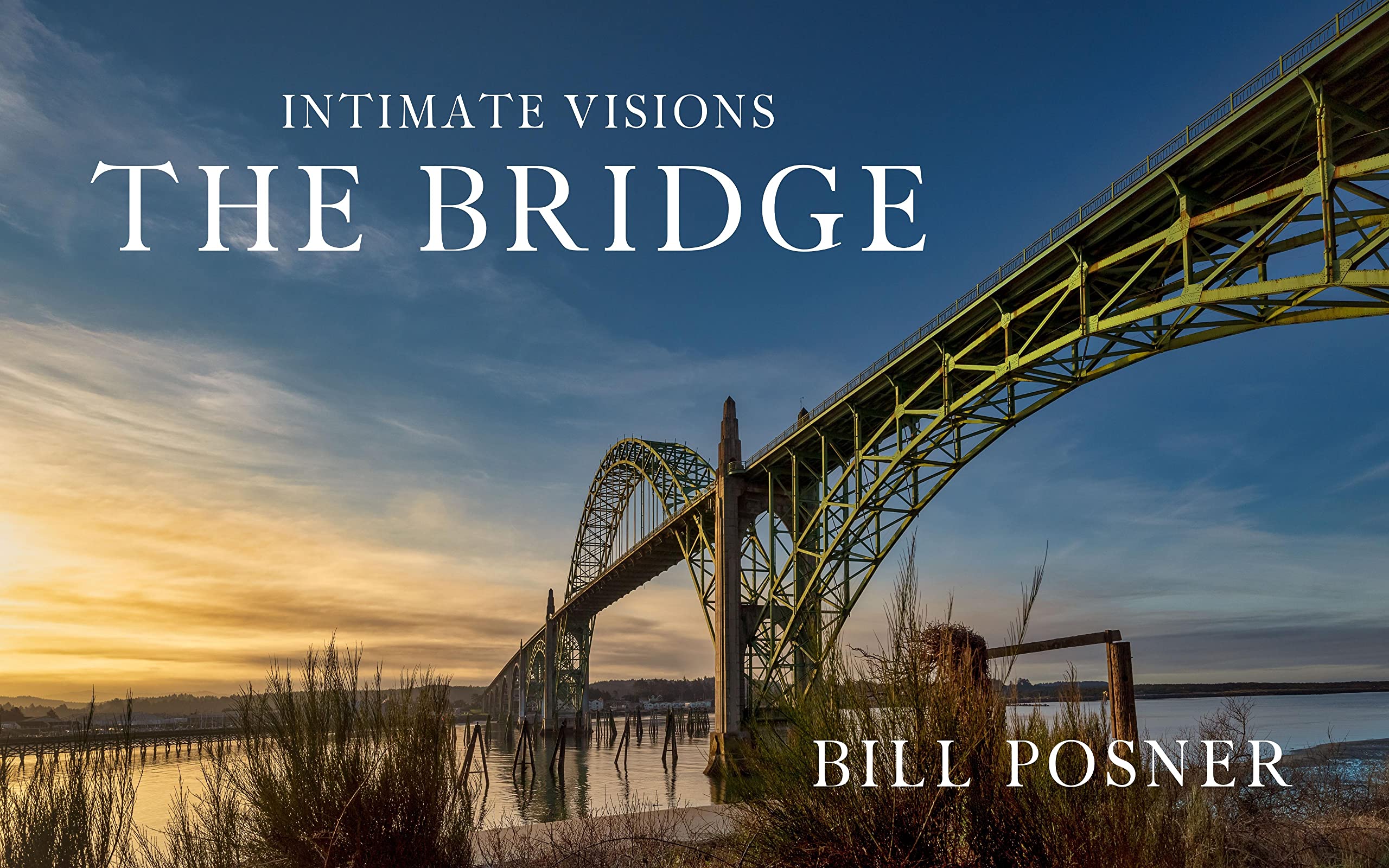 Intimate Visions: The Bridge livre d'art en édition anglaise pour collectionneurs
