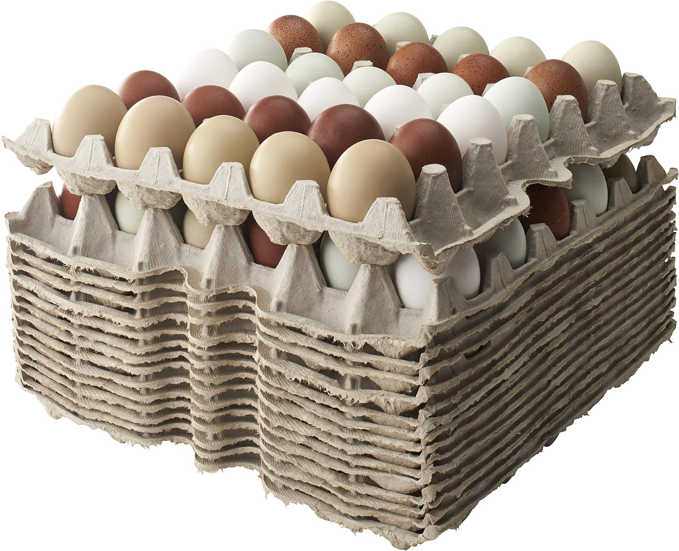 Egg Flats (Bulk Pack of 15) fits Small - Extra Large Chicken Eggs : Each Biodegradable Egg Crate Flat Holds 30 Eggs