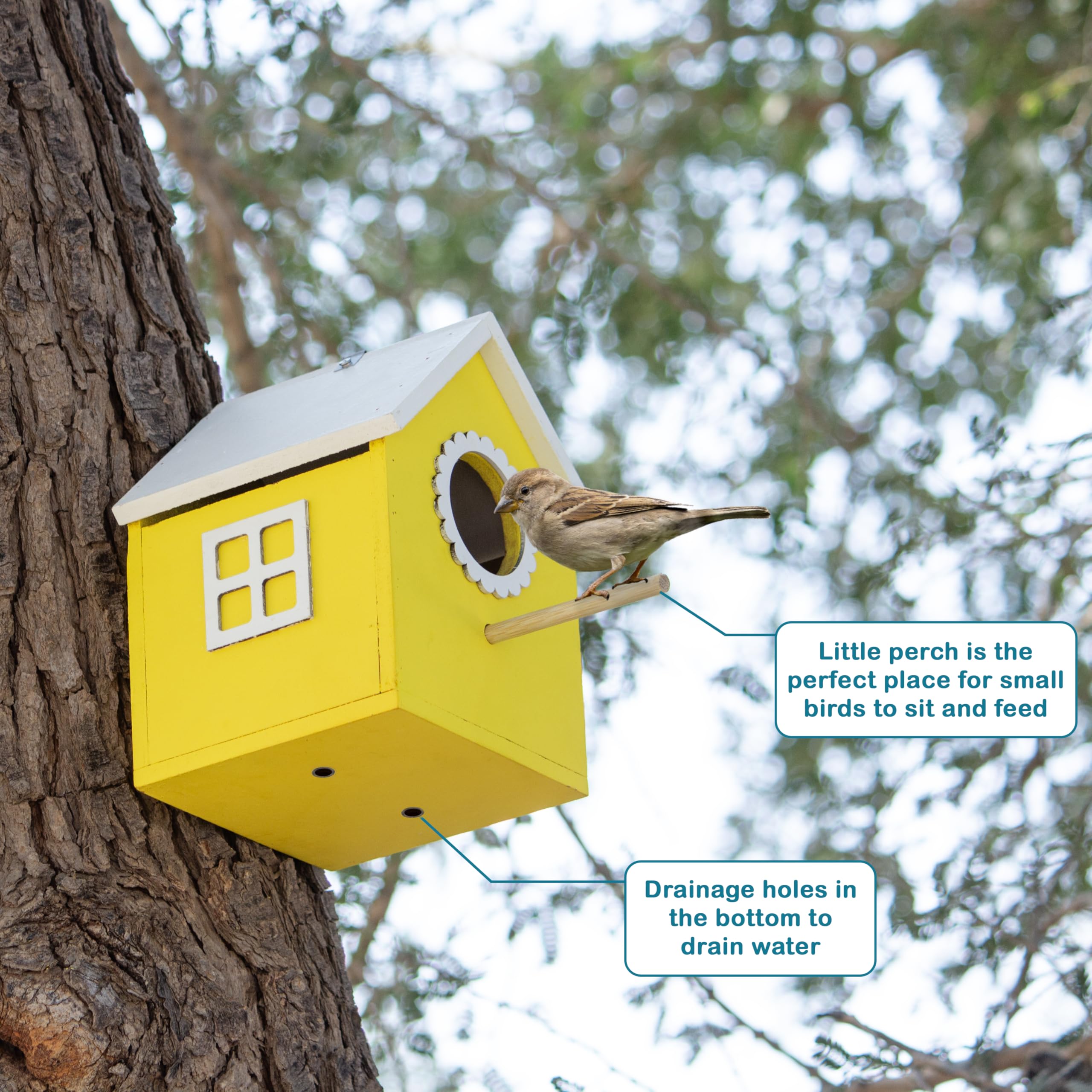 Birdhouse for Sparrows & Hummingbirds - Yellow Nesting Box -5 Birdhouse for Sparrows & Hummingbirds - Yellow Nesting Box -5