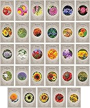 Set of 29 Black Duck Brand Flower Seed Packets 29 Varieties of Seeds! Y