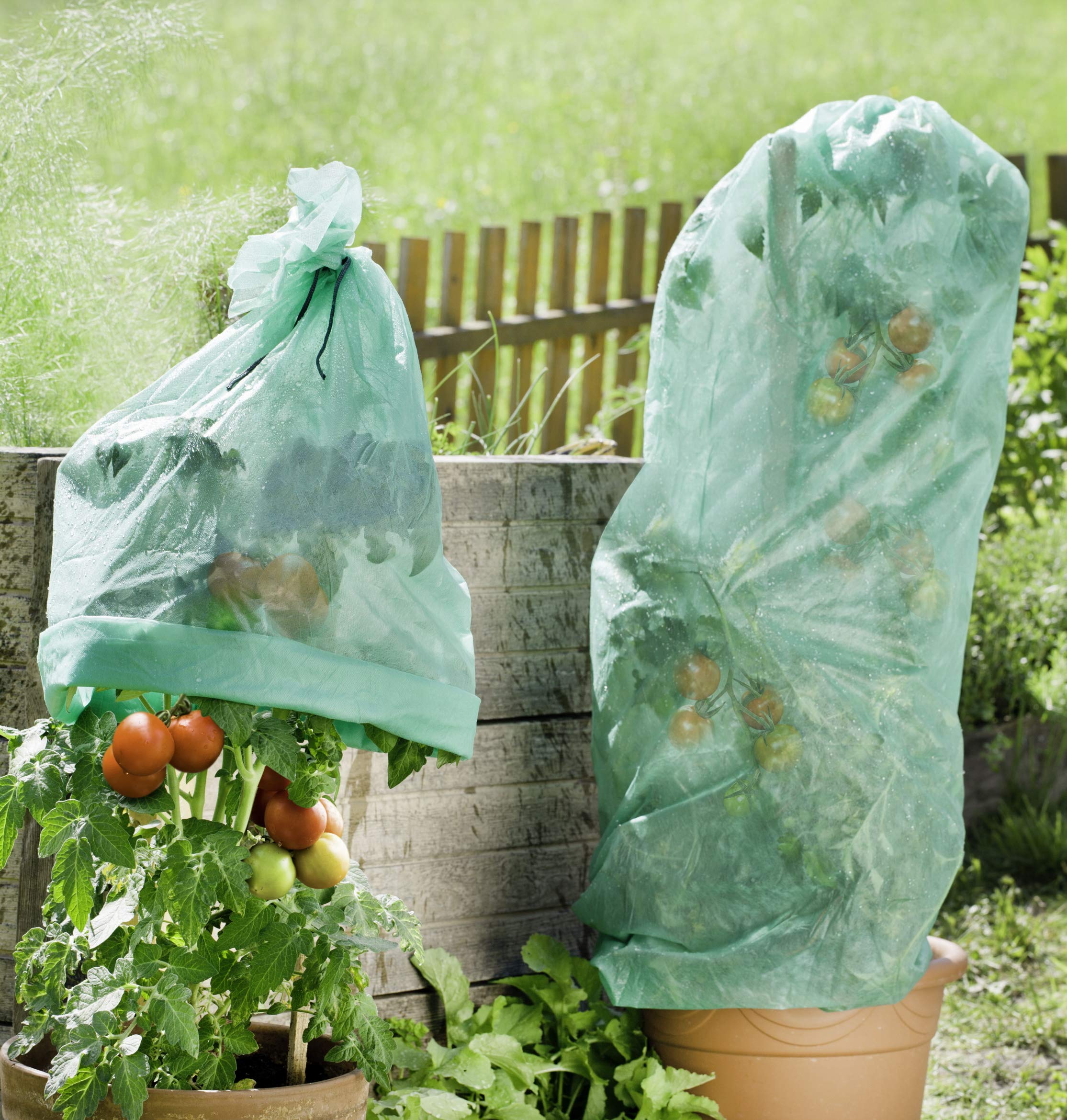Windhager Tomaten-Vliesschlauch SUPERGROW, Wachstumsvlies Tomatenschutz Schädlingsschutz Frostschutz Gartenvlies, grün, 10 x 0,65 m, 20 g/m² (Packung mit 2)