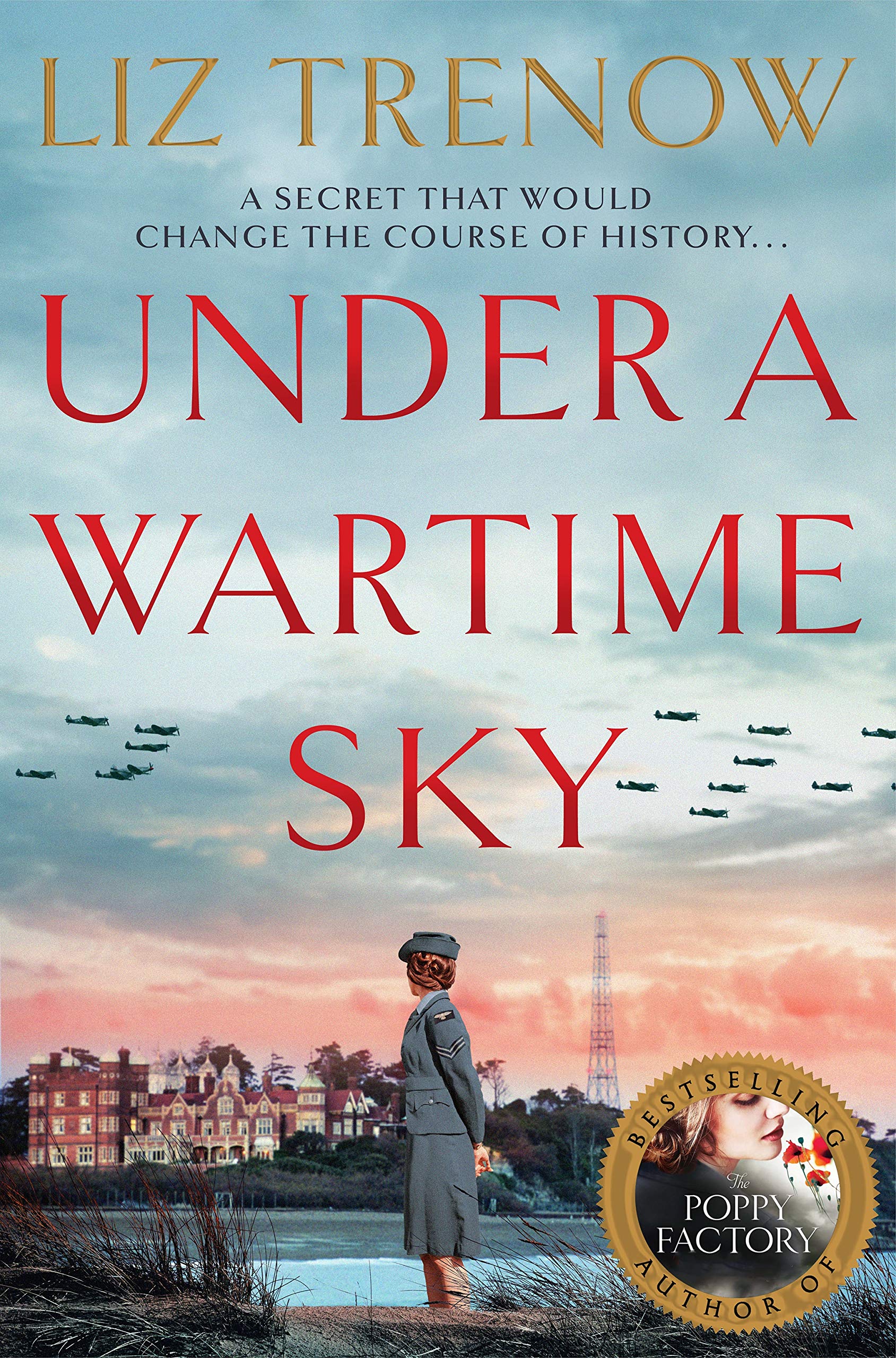 Under a Wartime Sky by Liz Trenow PAPERBACK 9781509879847