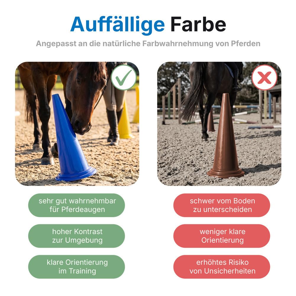 Dönges Lot de XXL cônes de guidage pour chevaux – 5 x bleu et 5 x jaune équitation