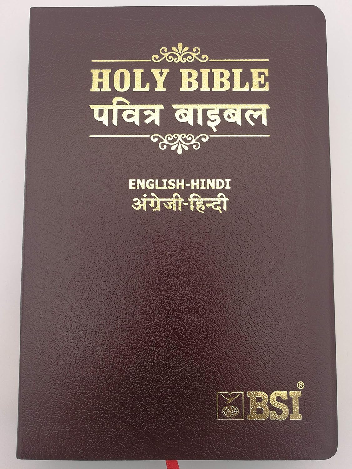 English Hindi Holy Bible / ESV by Bible Society of India