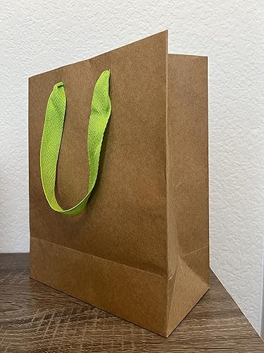 Paquete de 30 bolsas de papel con asas, azul claro, asas de sarga de color verde azulado, bolsas de papel marrón, bolsas de papel, bolsas de papel