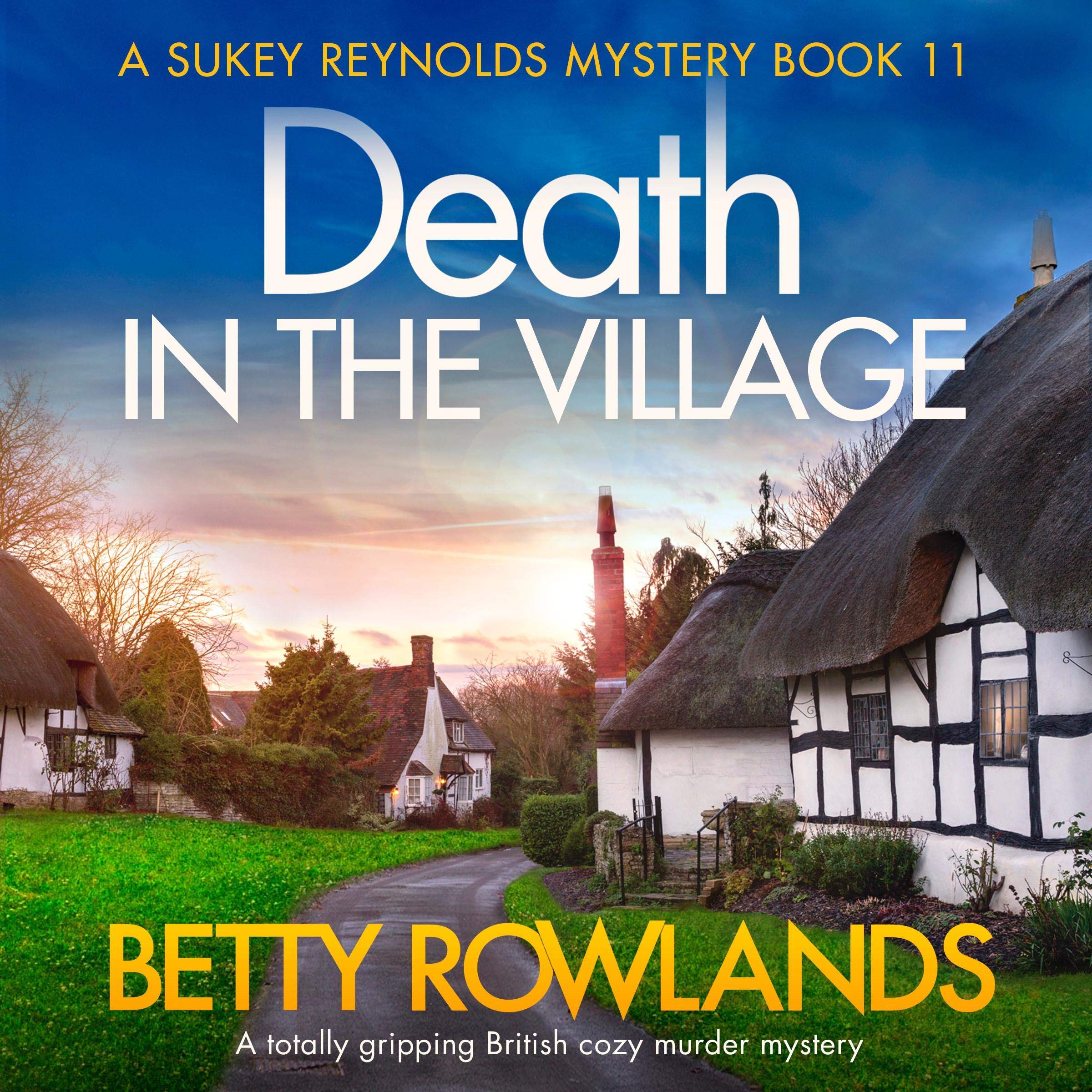 Cover art for Death in the Village