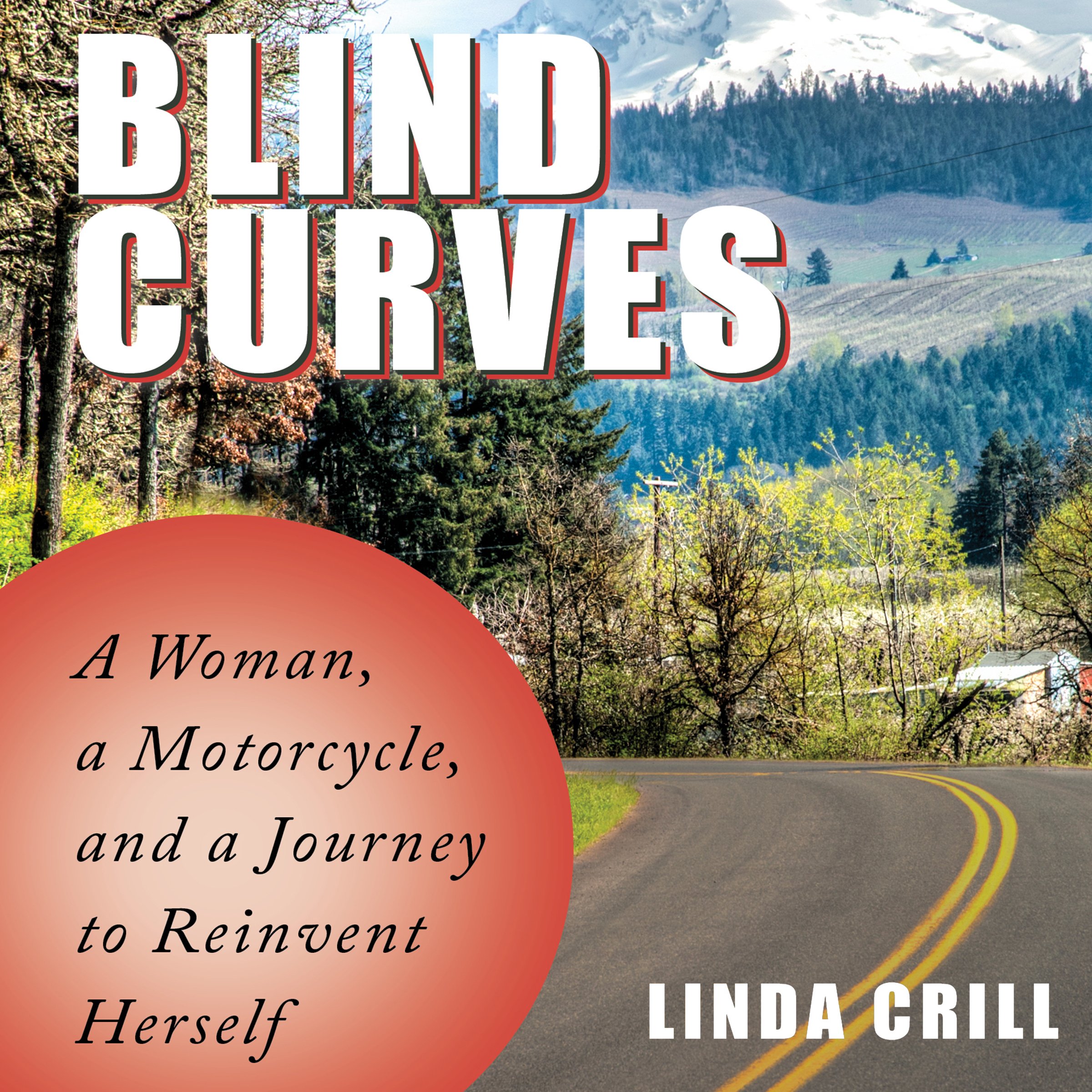 Cover art for Blind Curves