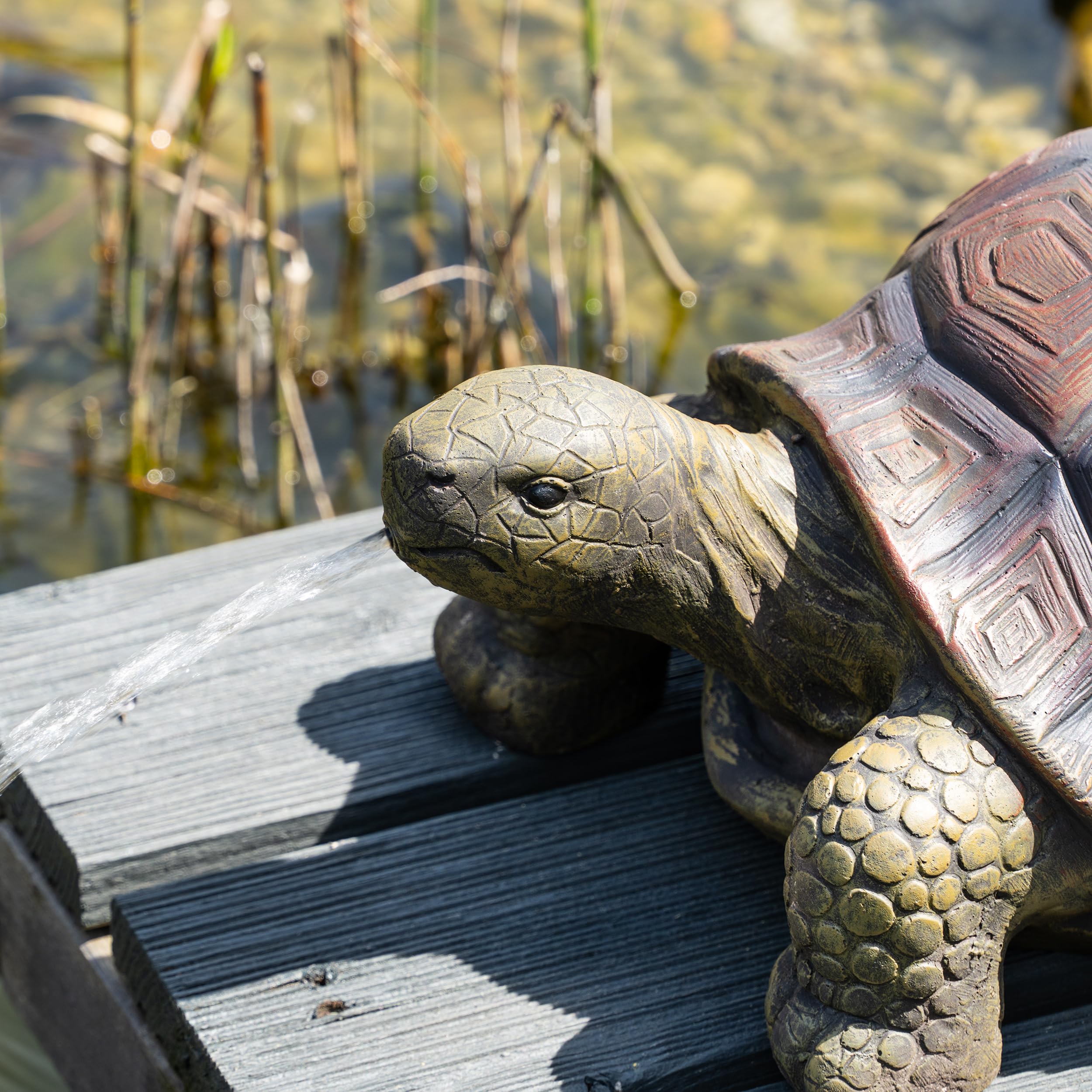 Esotec Solar Wasserspeier Komplettset, Schildkröte Maru, Gartenteich Wasserspiel, Vogeltränke, Vogelbad, Gartenbrunnen mit Solarpumpe, 12Wp, H=23cm 101673