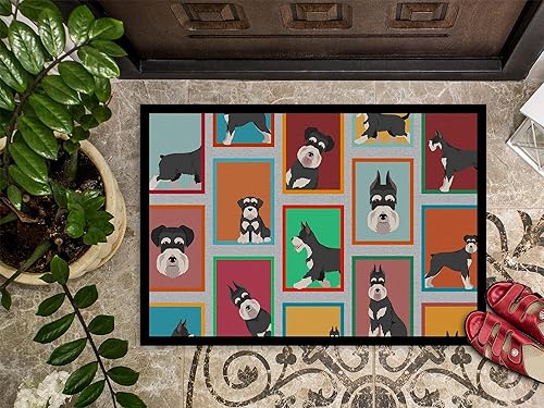 Vista 306 de Caroline's Treasures MLM1087MAT - Felpudo de perro de montaña bernés de 18 x 27 pulgadas, para interiores y exteriores, para entrada, Bernese