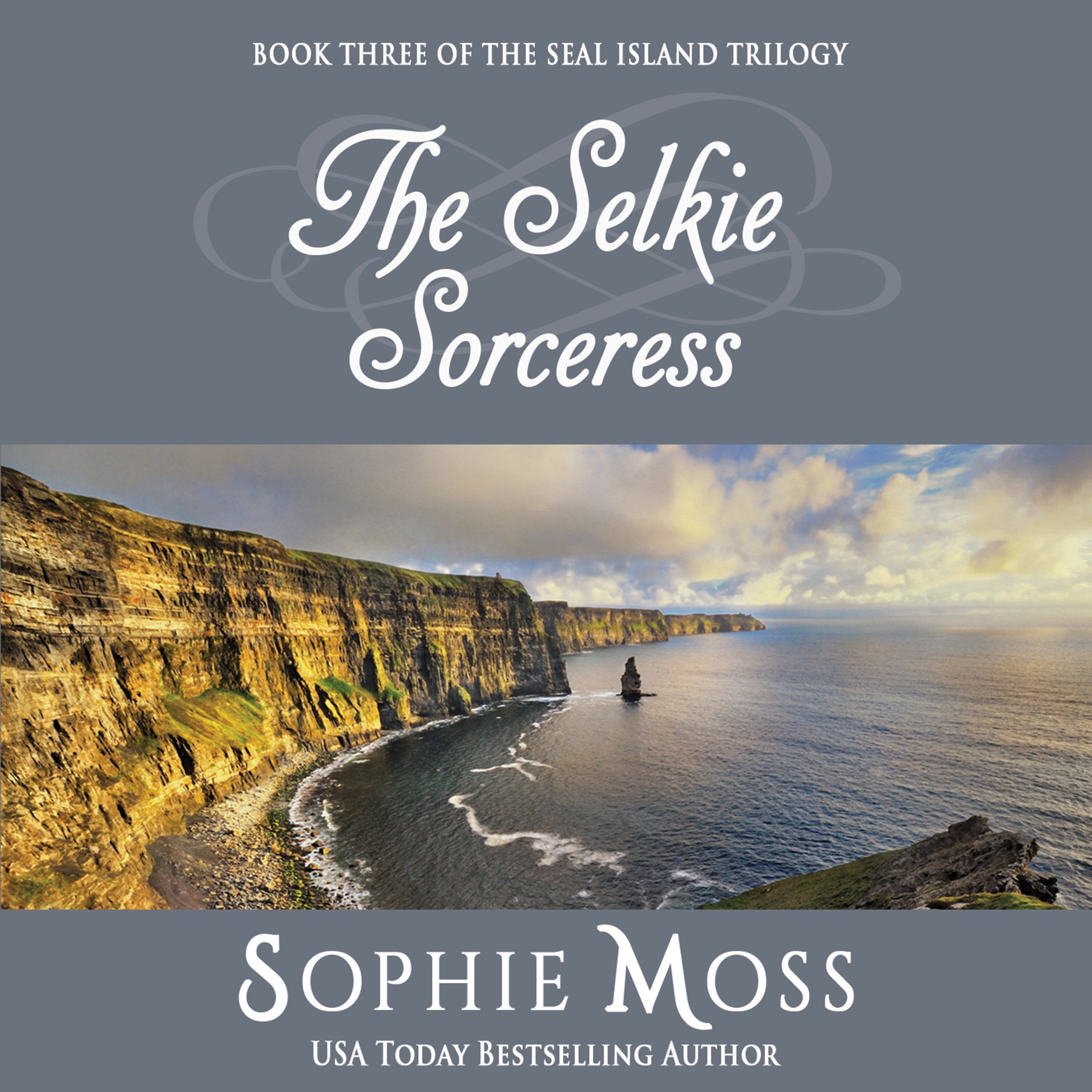 Cover art for The Selkie Sorceress