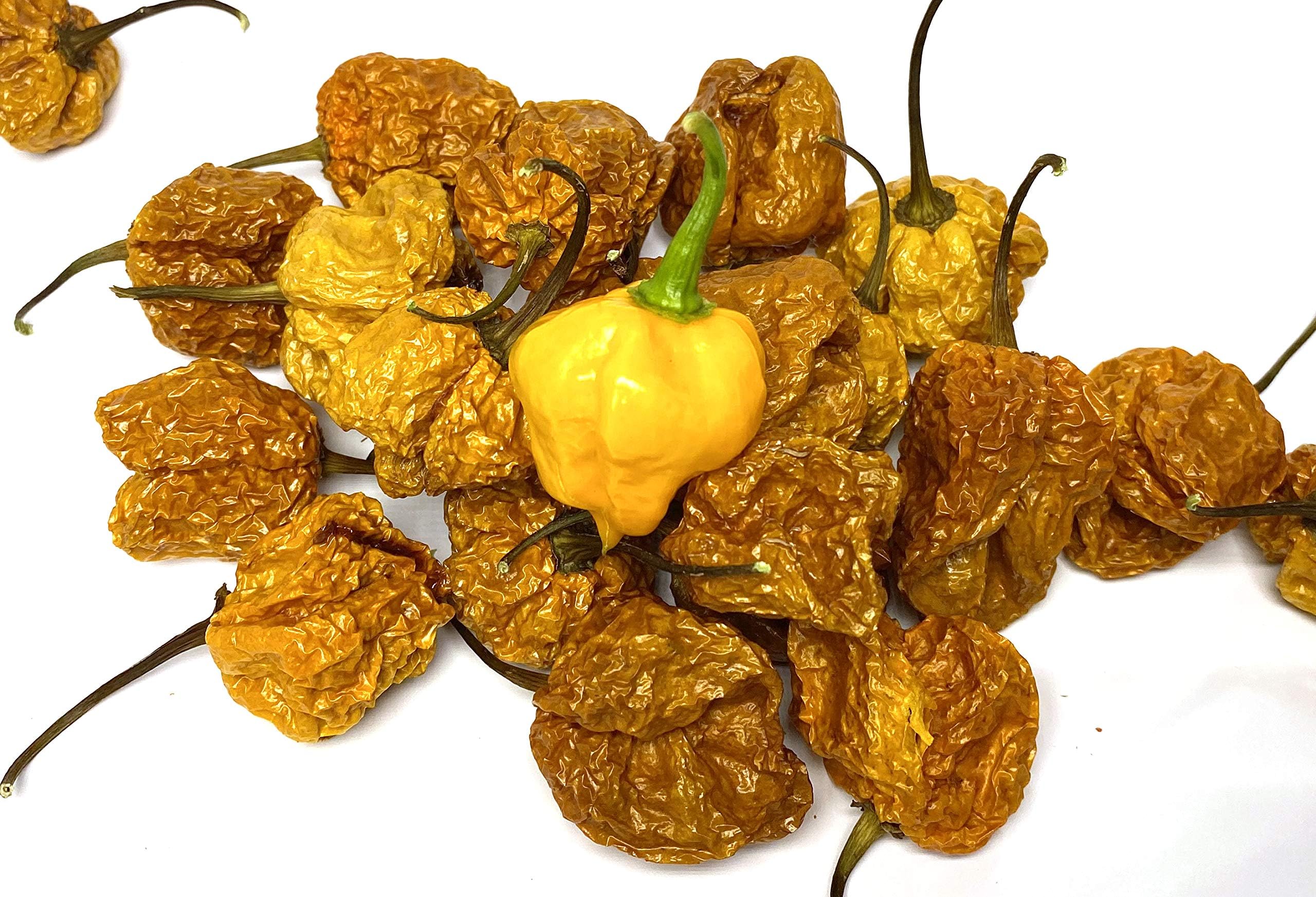 Leaning Tree MicroFarm Naturally Dried Scotch