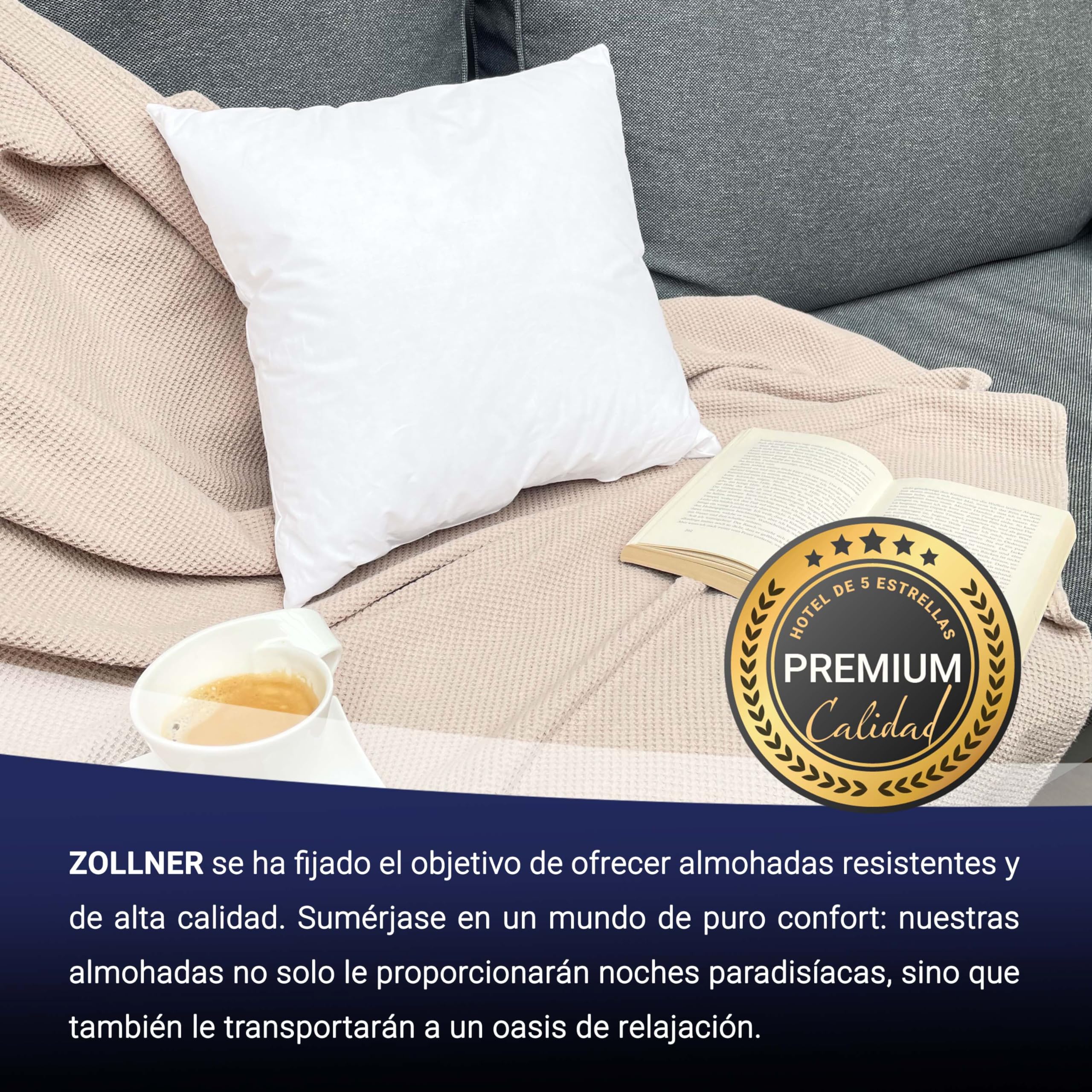 ZOLLNER Almohada de Plumas Premium con Contenido de plumón - Made in Germany - Apta para alérgicos - Funda de algodón Mako Lavable hasta 60°C - 40x40 cm - Calidad hotelera