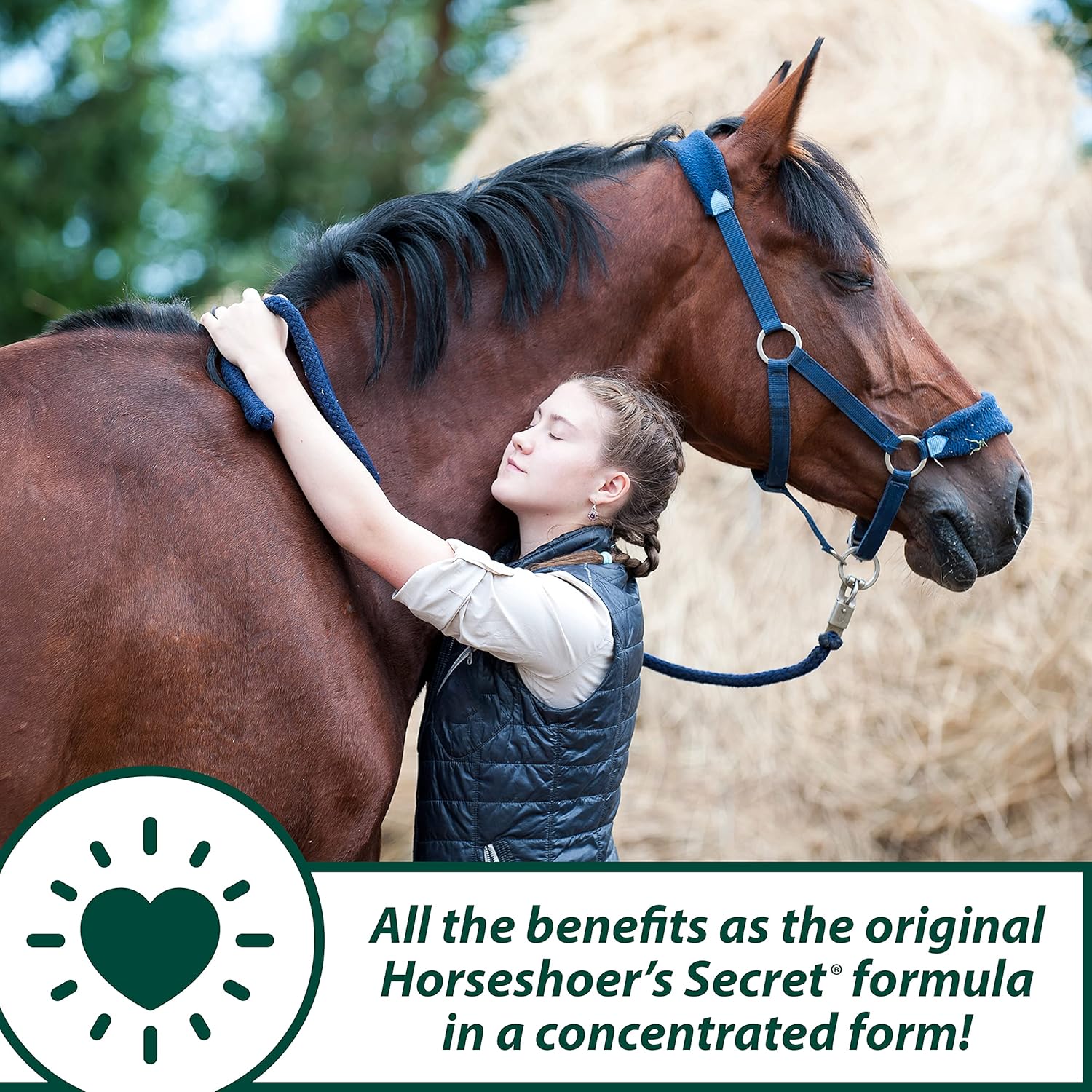 Farnam Horseshoer's Secret Pelleted Hoof Supplement Concentrate, 3.75-Pound : Horse Nutritional Supplements And Remedies : Sports & Outdoors