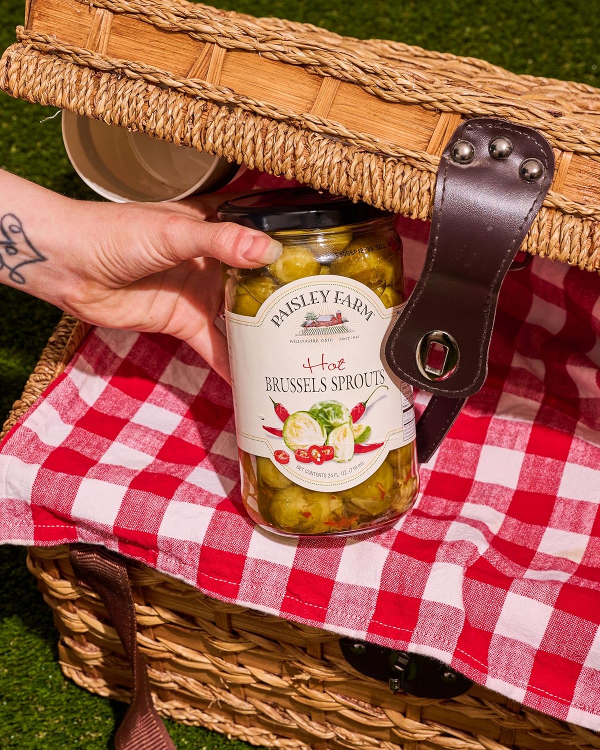 Paisley Farm Hot Brussels Sprouts 6-Pack – Spicy Pickled Brussels Sprouts in Zesty Brine – Bold Farm-Fresh Flavor & Crunchy Texture – Ready-to-Serve Gourmet Snack – 24 oz Jars