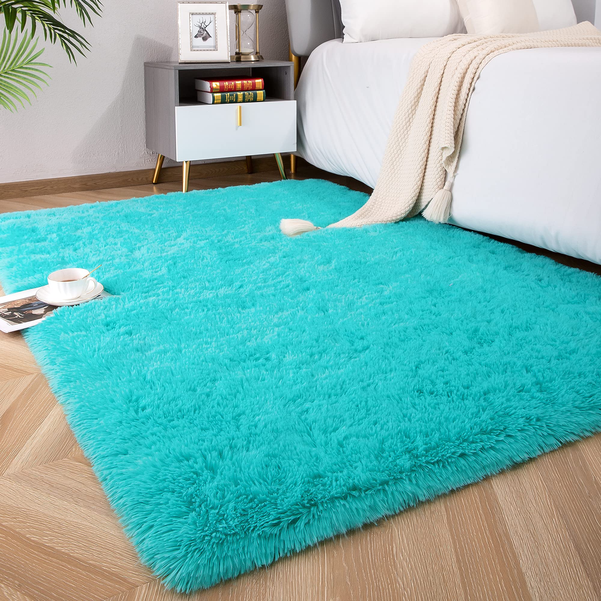 Foxmas Soft Fluffy Area Rugs for Bedroom Kids Room Plush