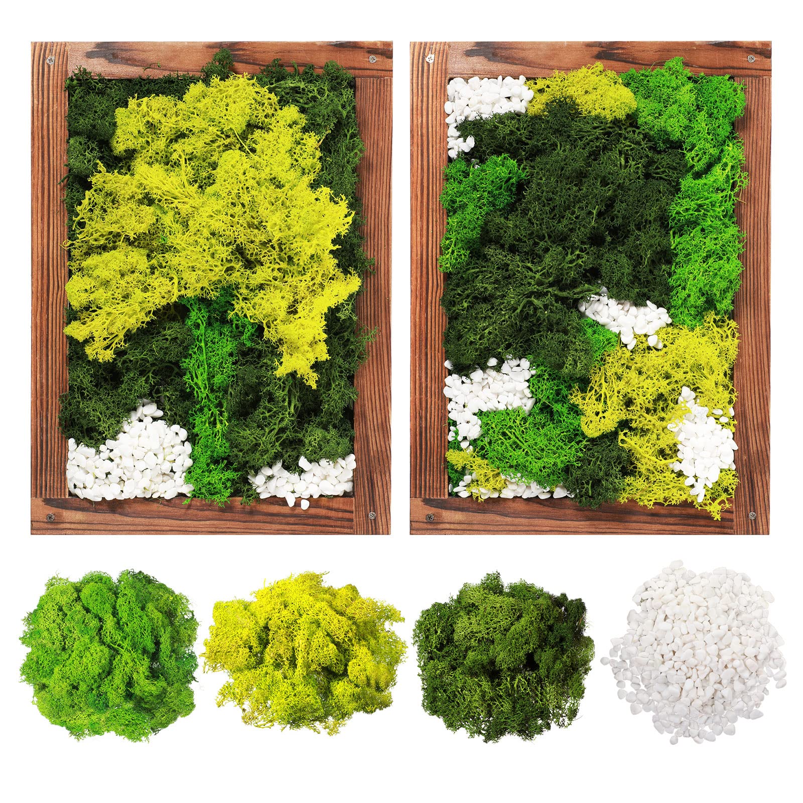 9 oz Preserved Moss Artificial Green Moss Faux Terrarium Moss Dried Vase Filler Moss Floral Moss Forest Spanish Moss with 7 oz White Aquarium Gravel Pebbles for Potted Plants Craft Project Supplies