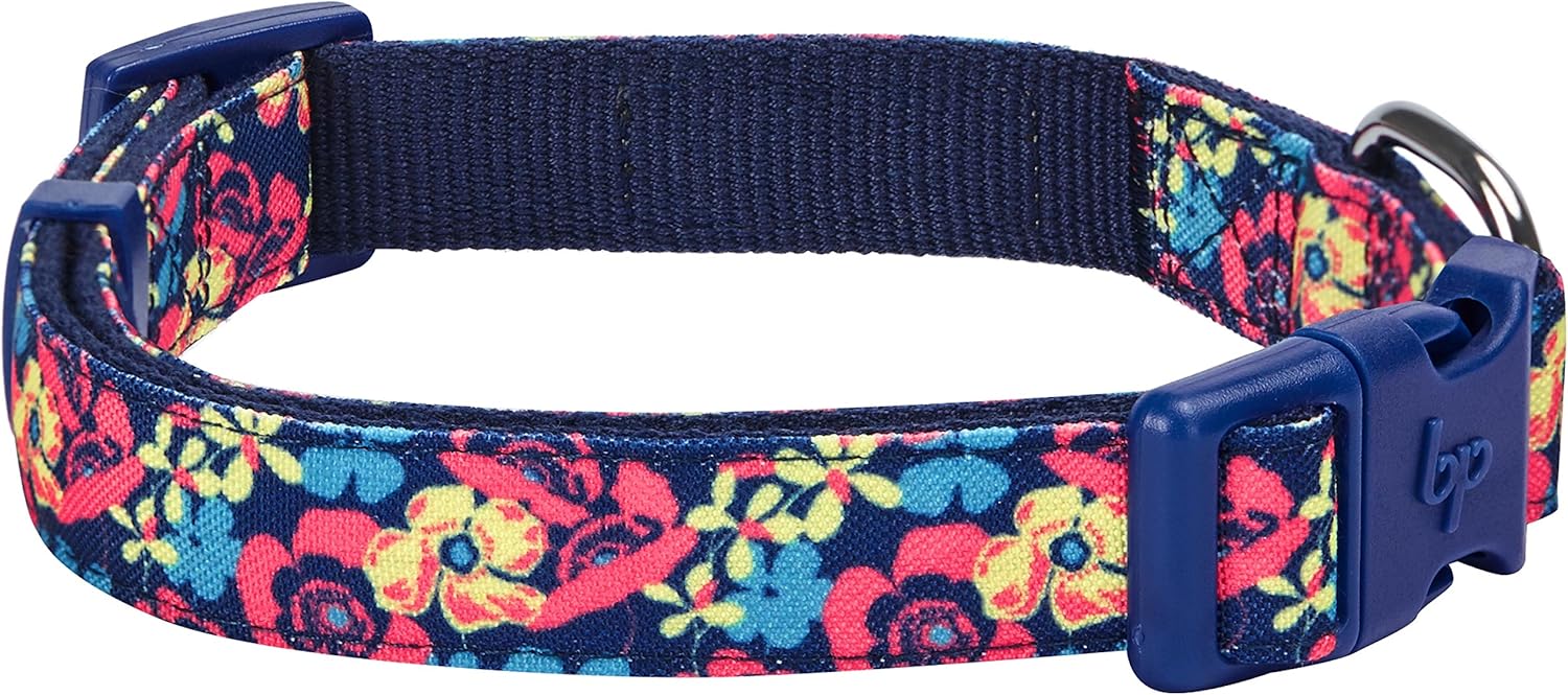 wilderness dog collars