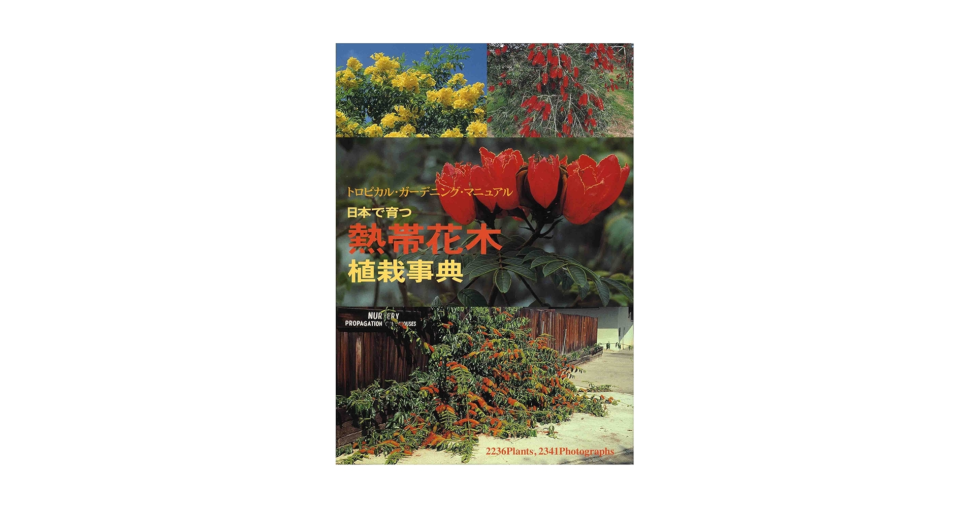 日本で育つ熱帯花木植栽事典 日本で育つ 熱帯花木 植栽事典 | 坂崎信之 |本 | 通販 | Amazon