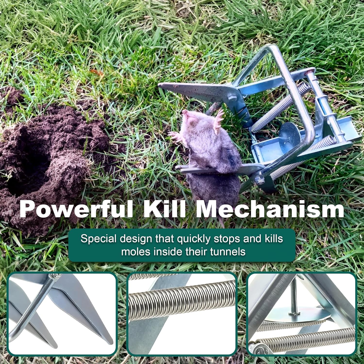 2 PCs Mole Traps Scissors, Reusable Silver Galvanized Steel Scissor Mole Gopher Trap for Outdoor Lawn and Garden - Easy to Use Design Ensures Quick Capture of Moles Gophers